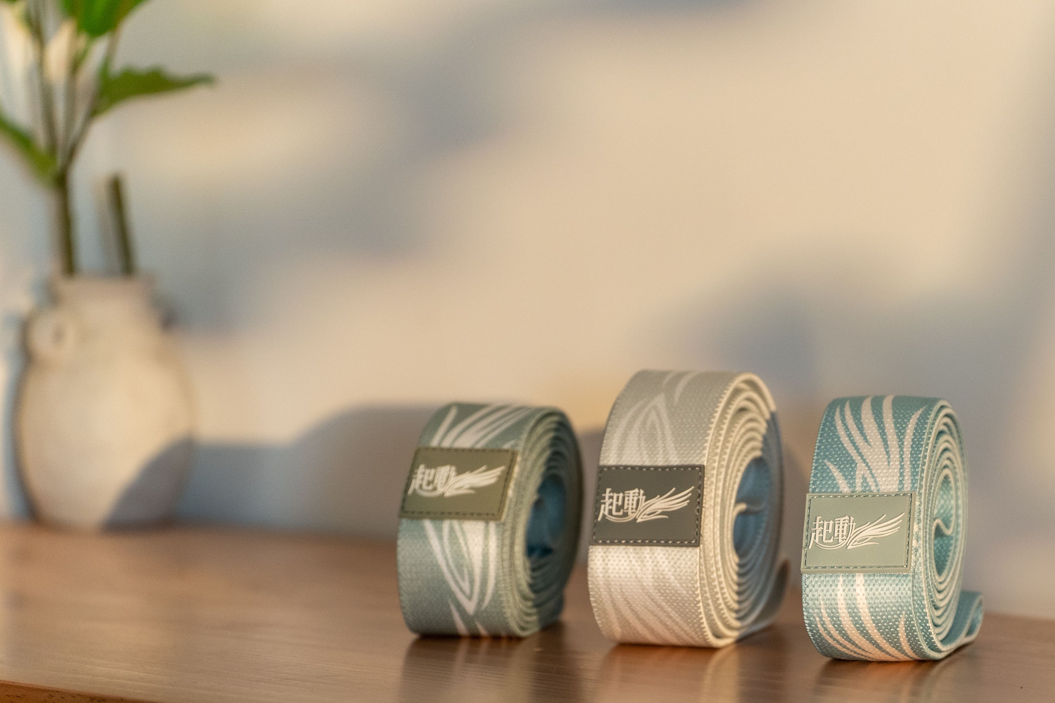 彈力帶 （3條一組）