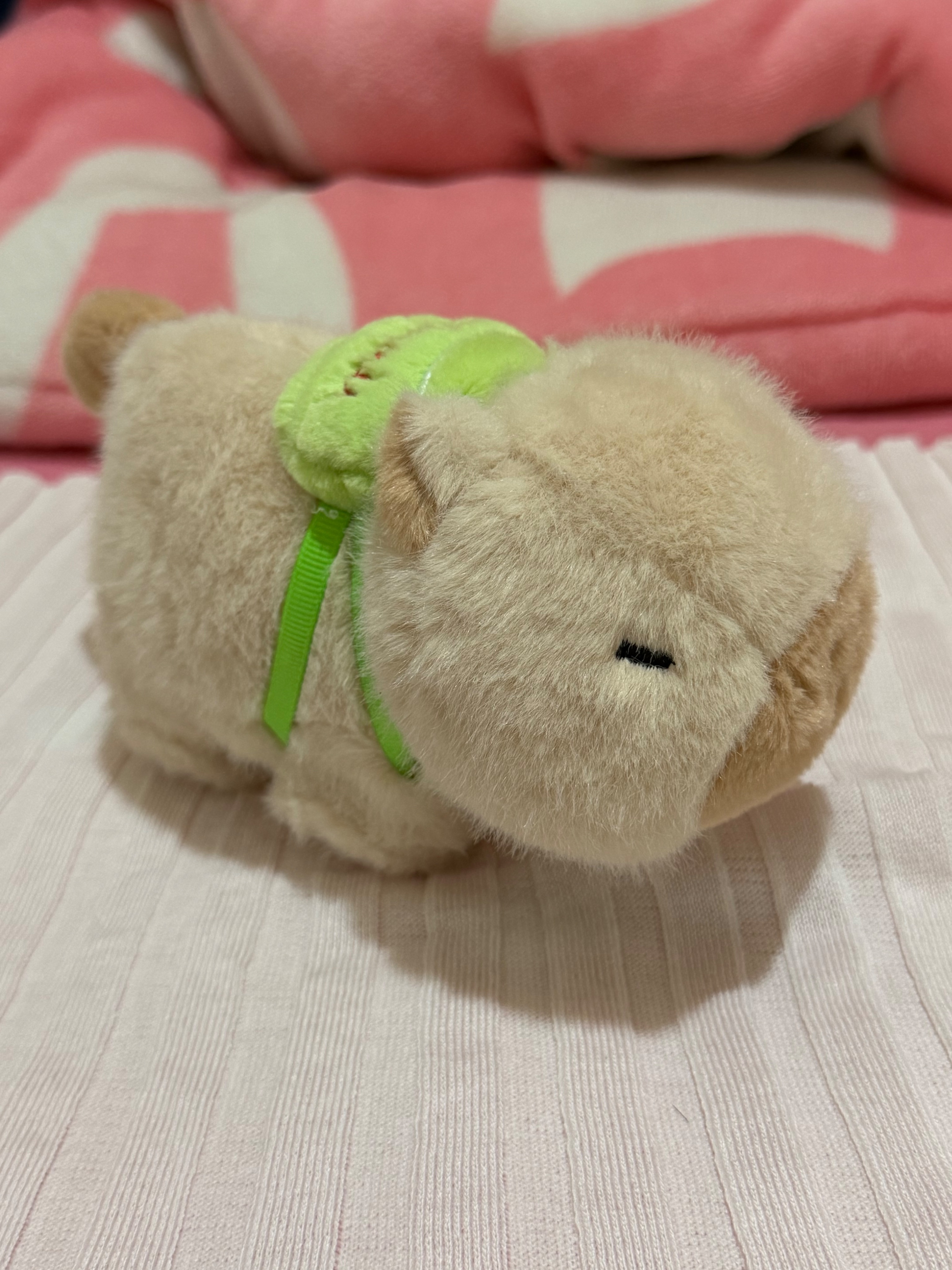 卡皮巴拉啪啪圈 尾巴下有拉繩 會旋轉震動