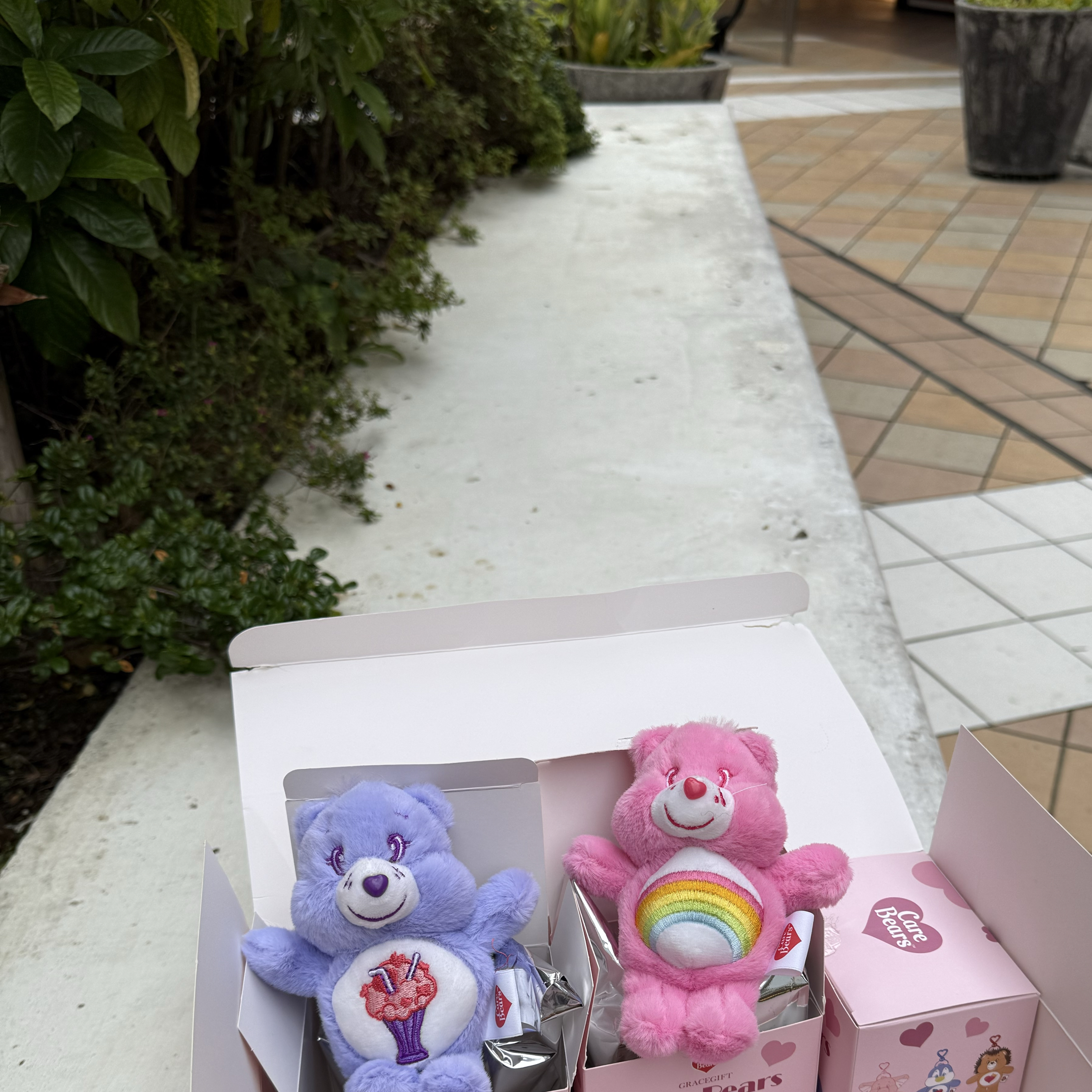 Care bears紫色🔮💜 （已拆盲盒）