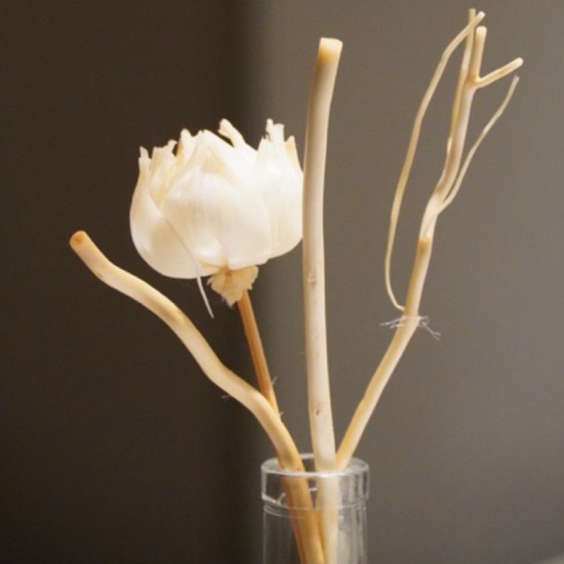 MOSA 『 擴香竹補充包 』天然柳木 花朵 原木色擴香竹