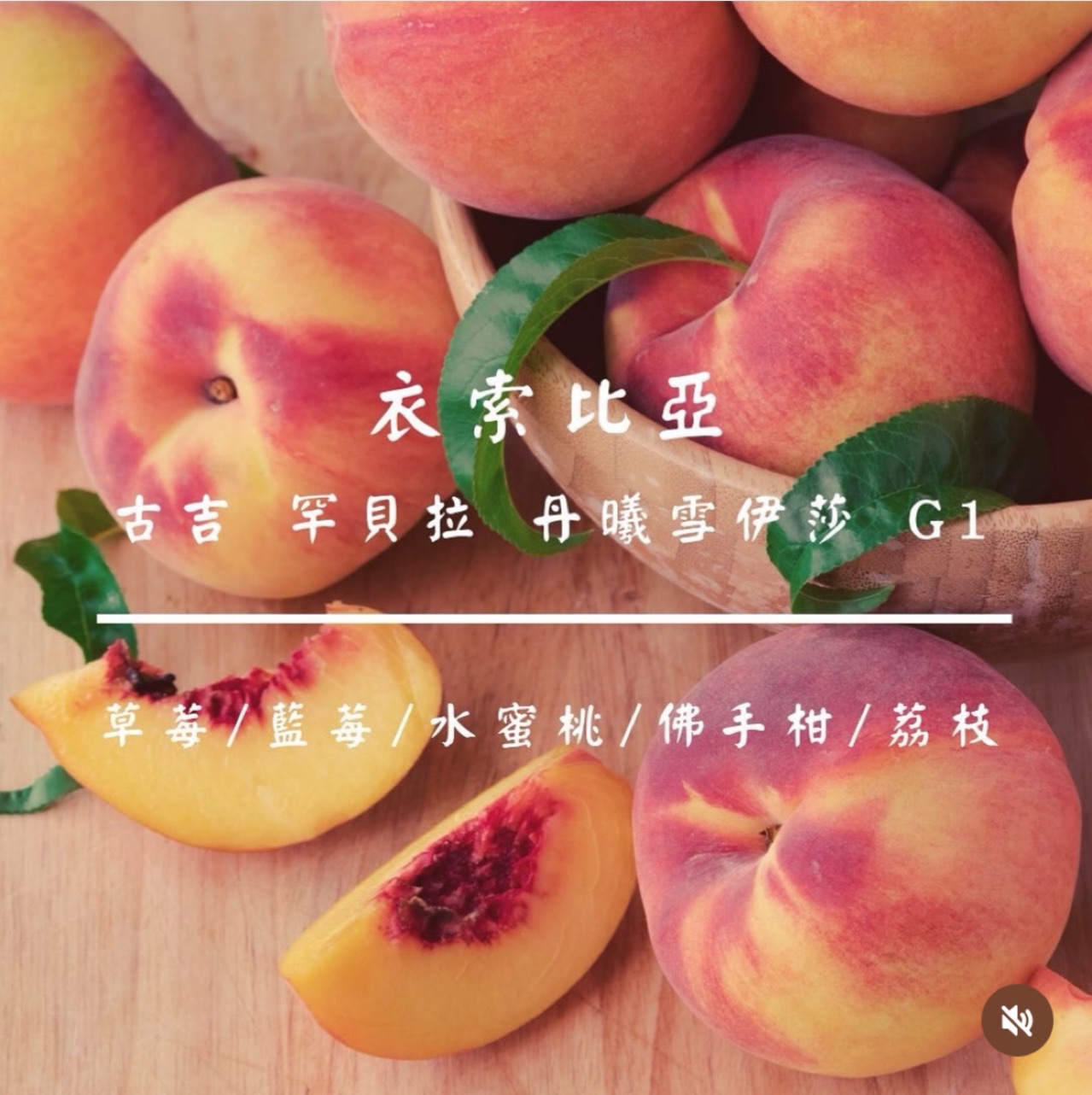 罕貝拉 丹曦雪伊莎G1