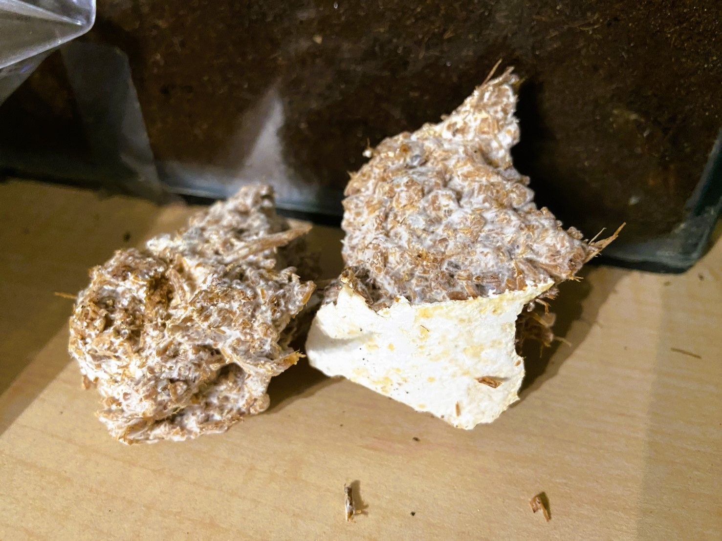 好吃的食物