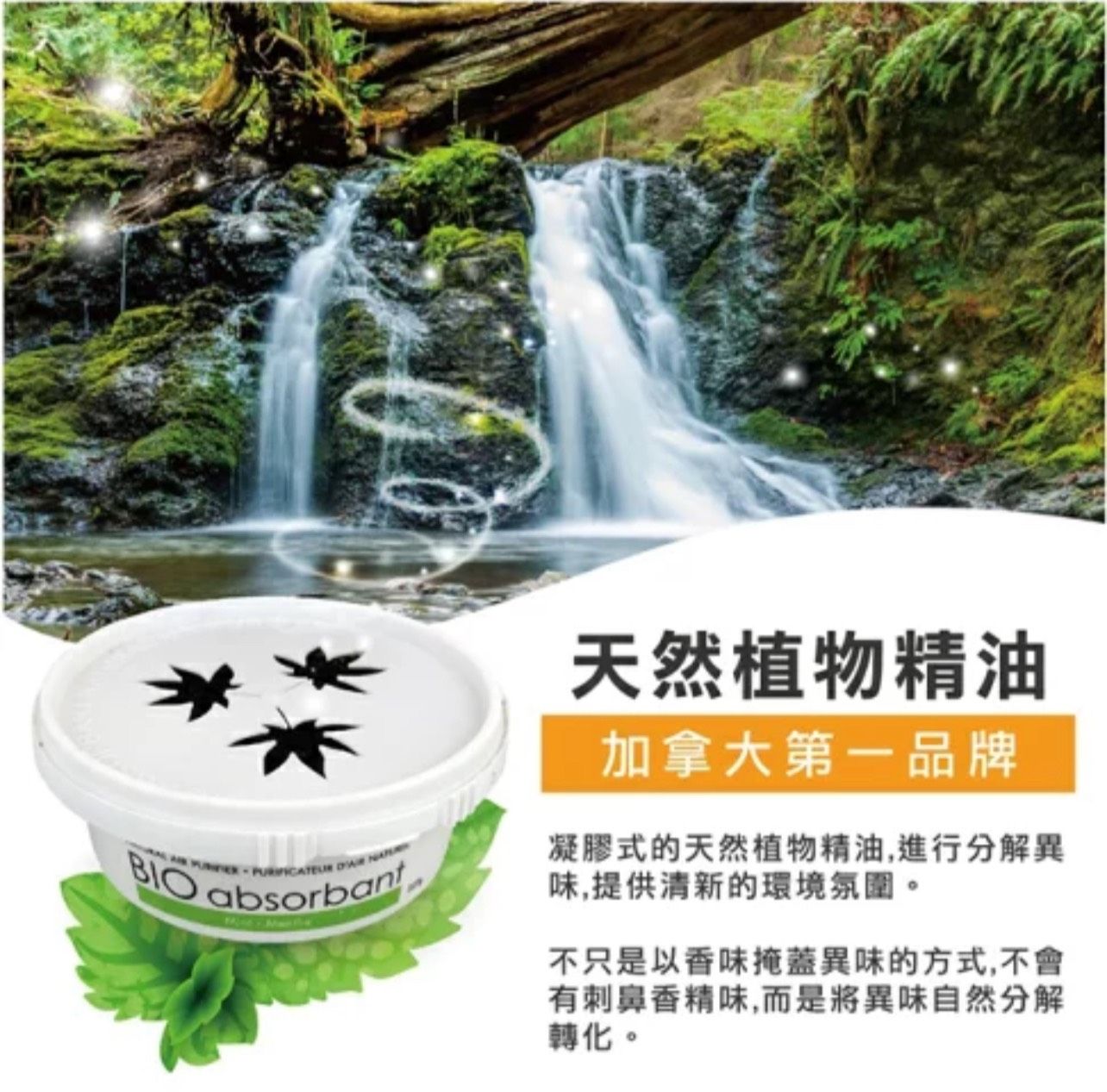 R-MAX馬克斯國際 加拿大BIO天然除臭凝膠/芳香劑/除臭/香味溫和不刺鼻