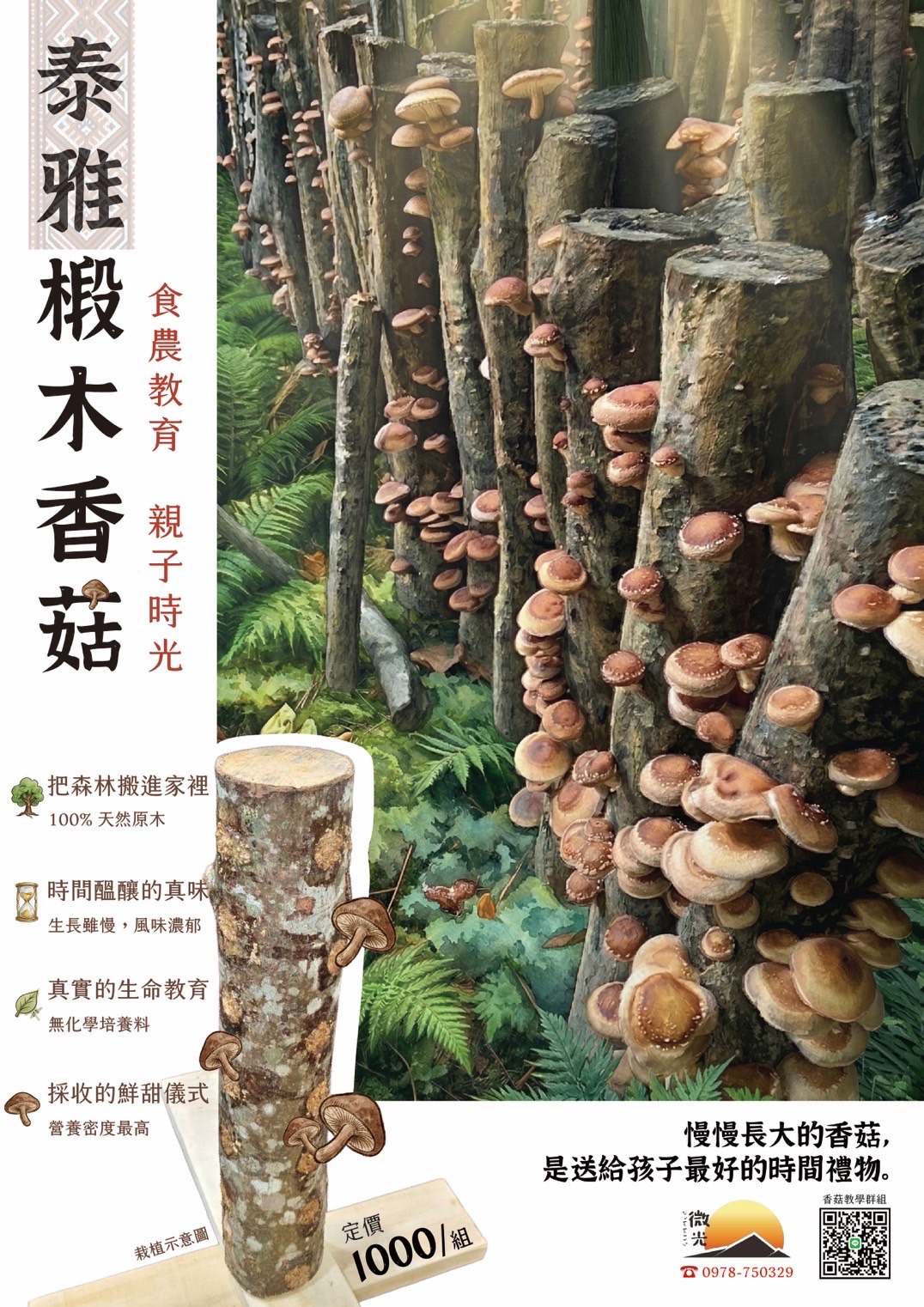 泰雅椴木香菇組