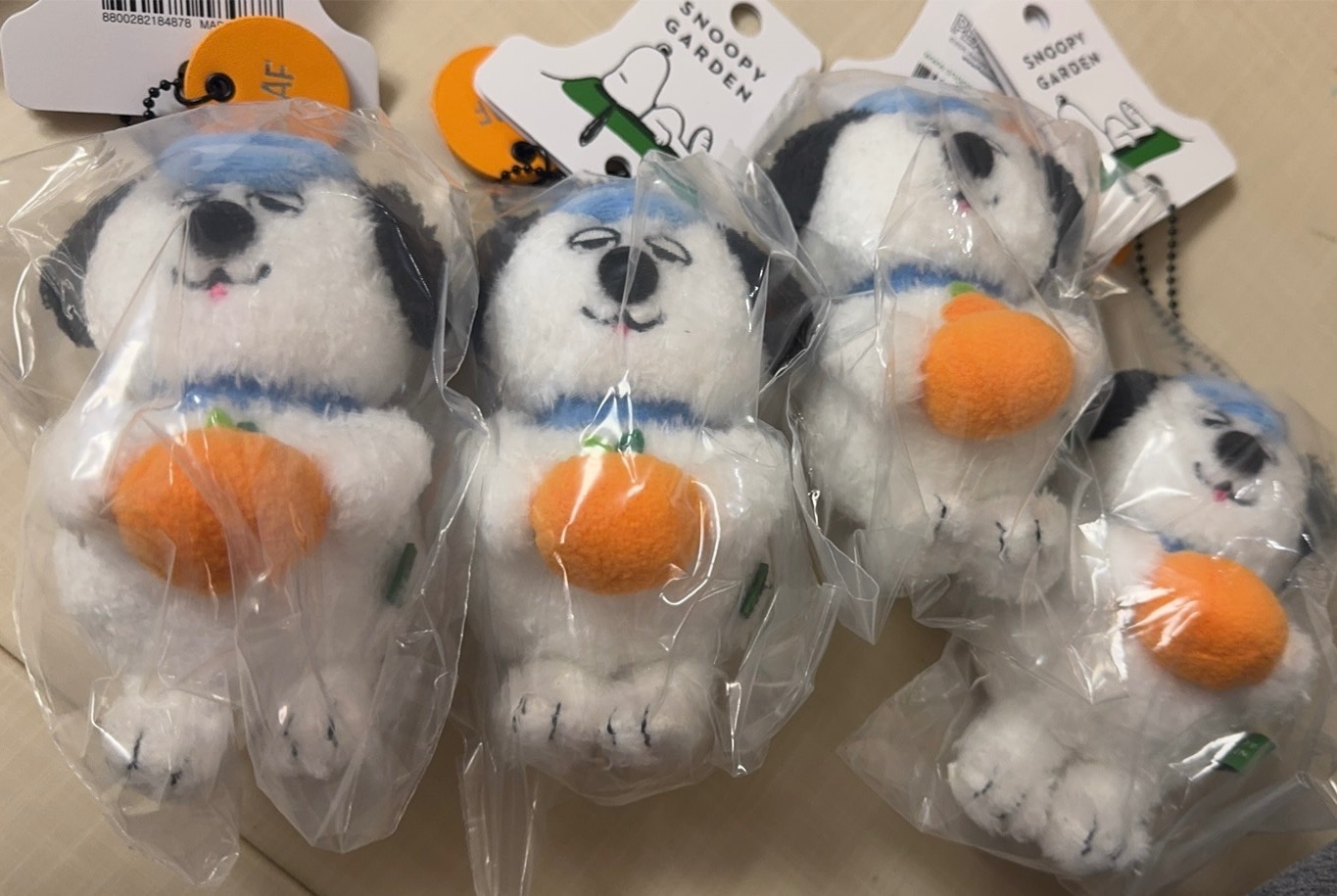 濟州島歐拉夫
