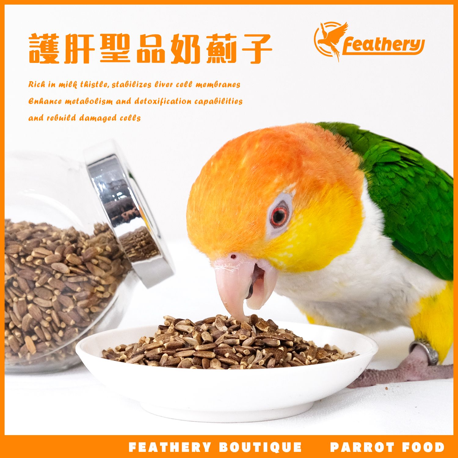 護肝聖品奶薊子｜烘焙系列