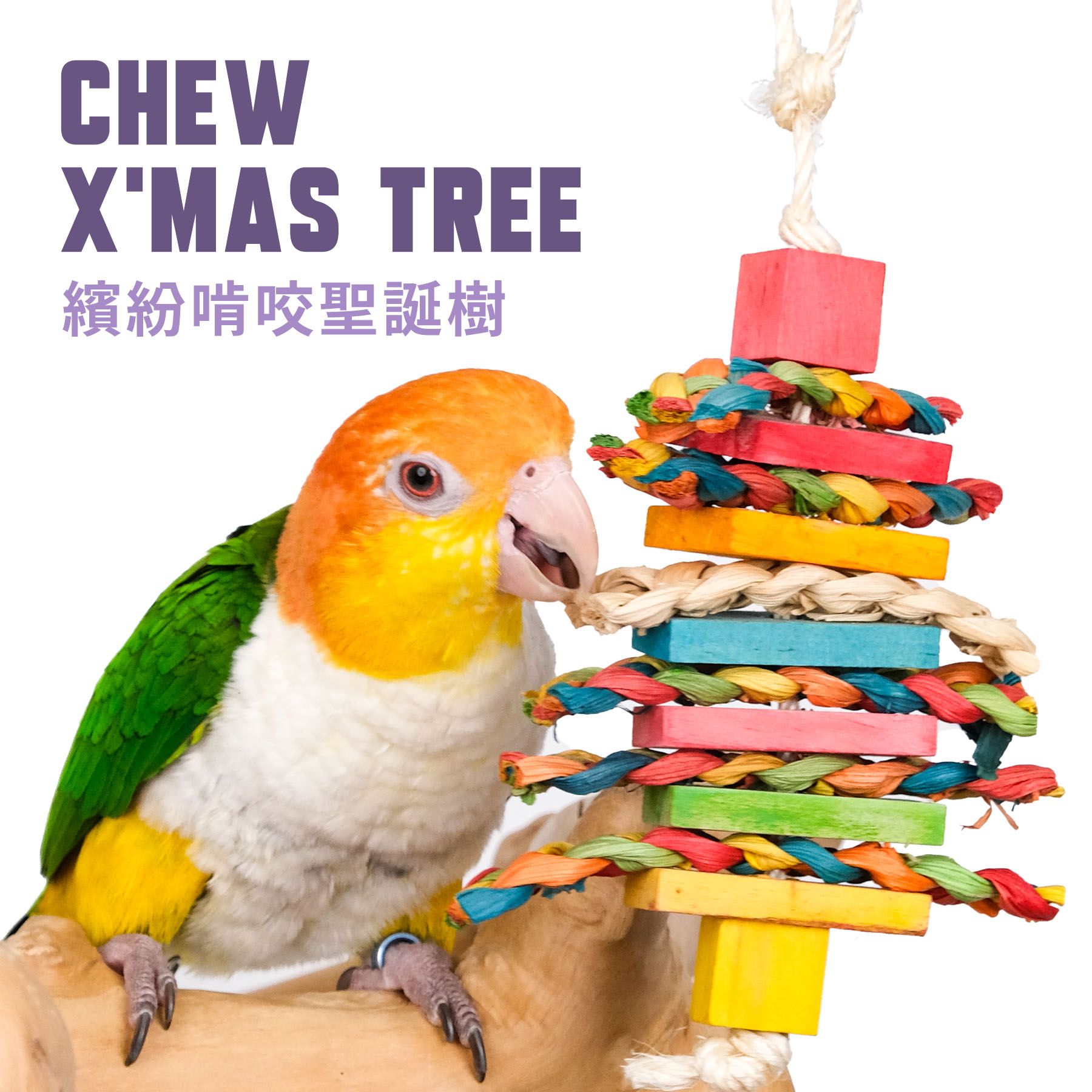 FN-C｜天然鸚鵡聖誕樹玩具串｜繽紛啃咬玩具
