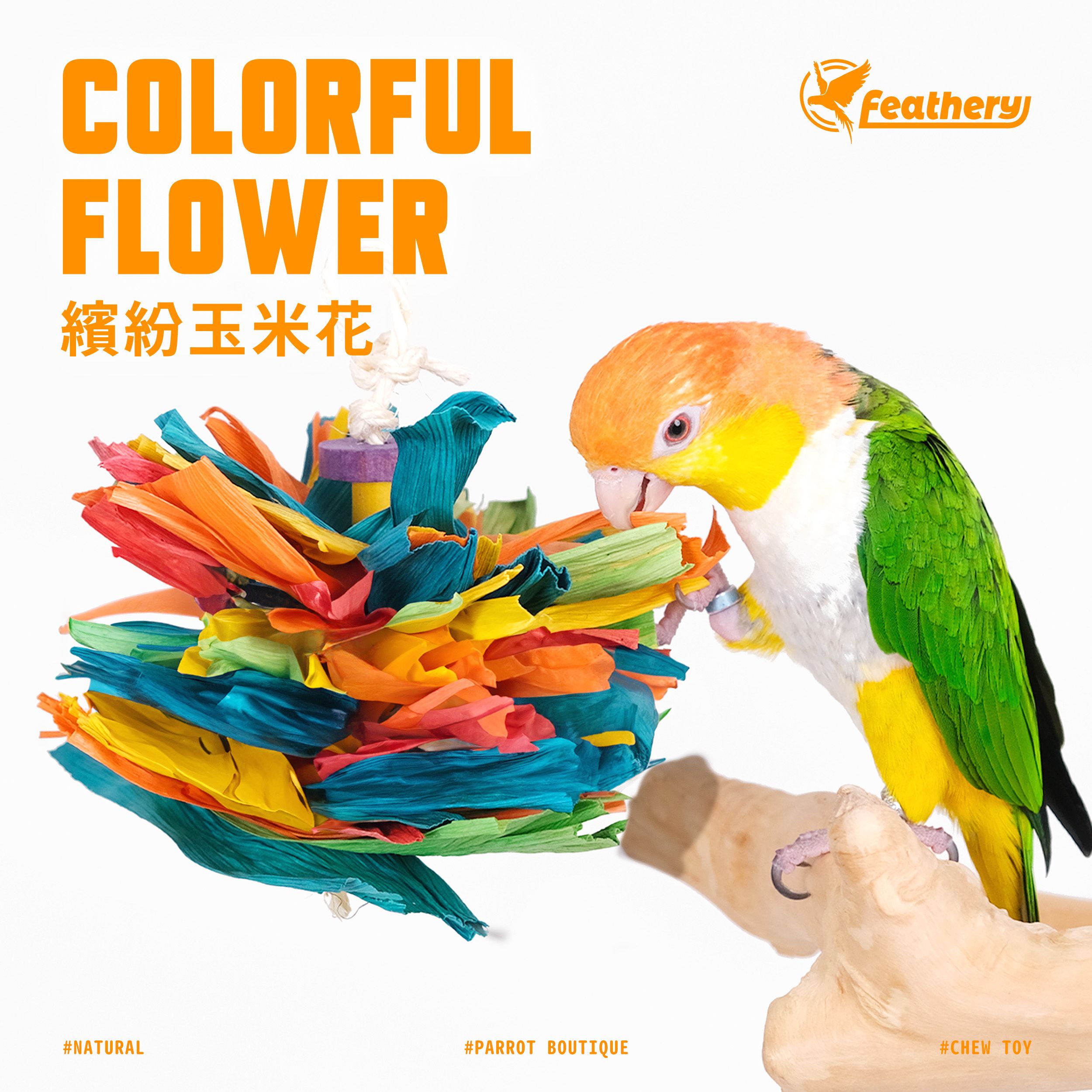 FN-D｜繽紛玉米花｜繽紛啃咬玩具