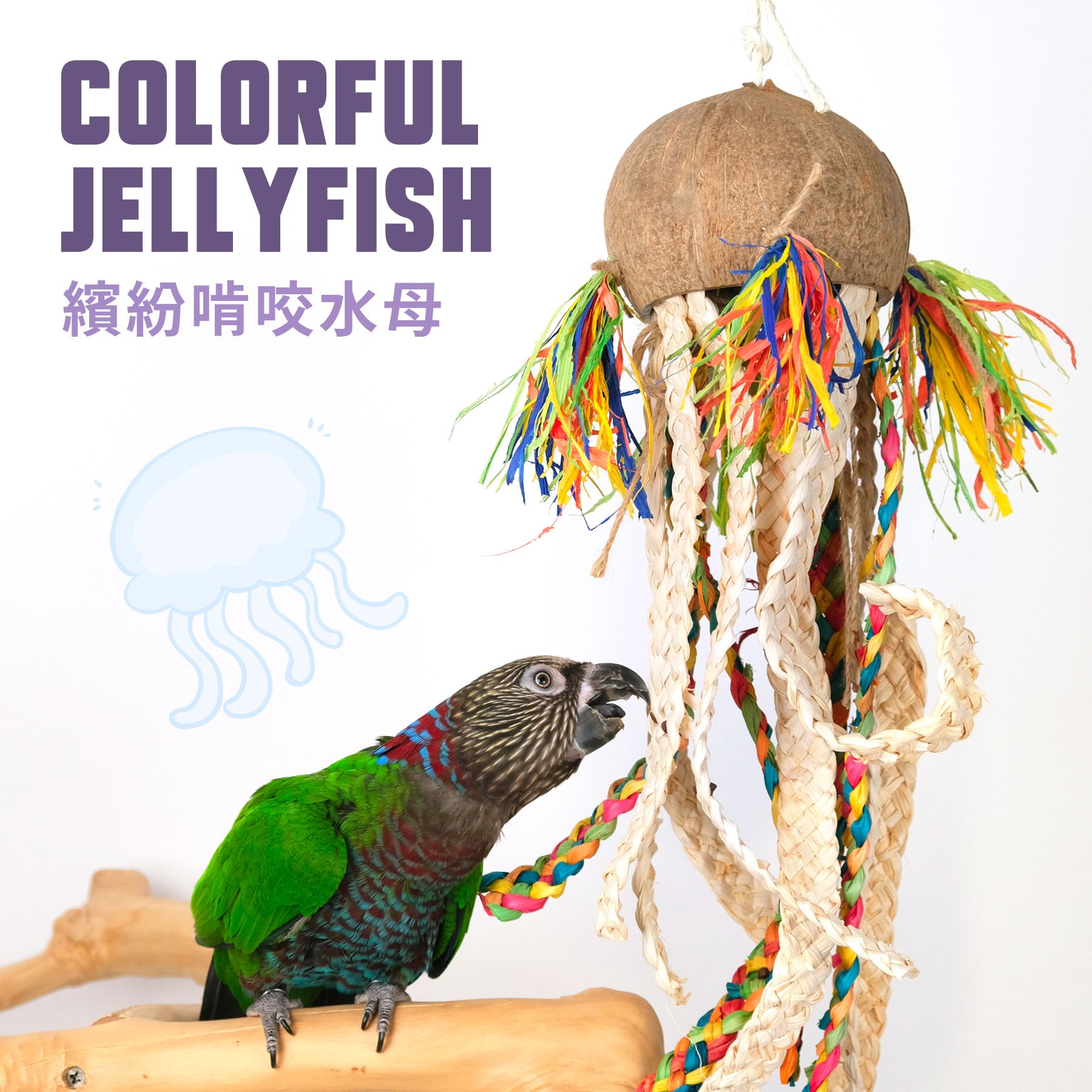 FN-G｜天然啃咬水母｜繽紛啃咬玩具