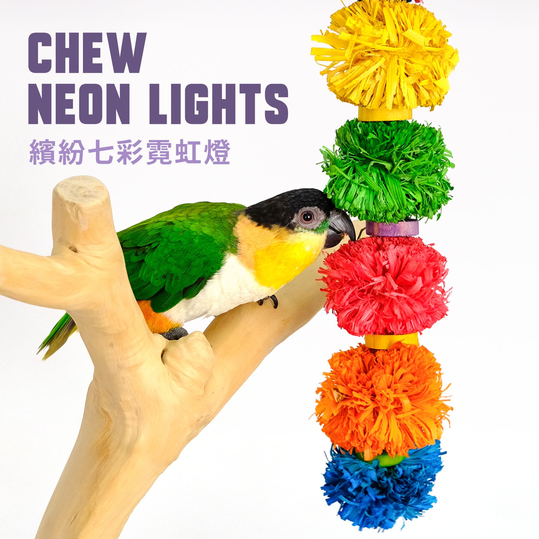 FN-H｜繽紛七彩霓虹燈｜繽紛啃咬玩具