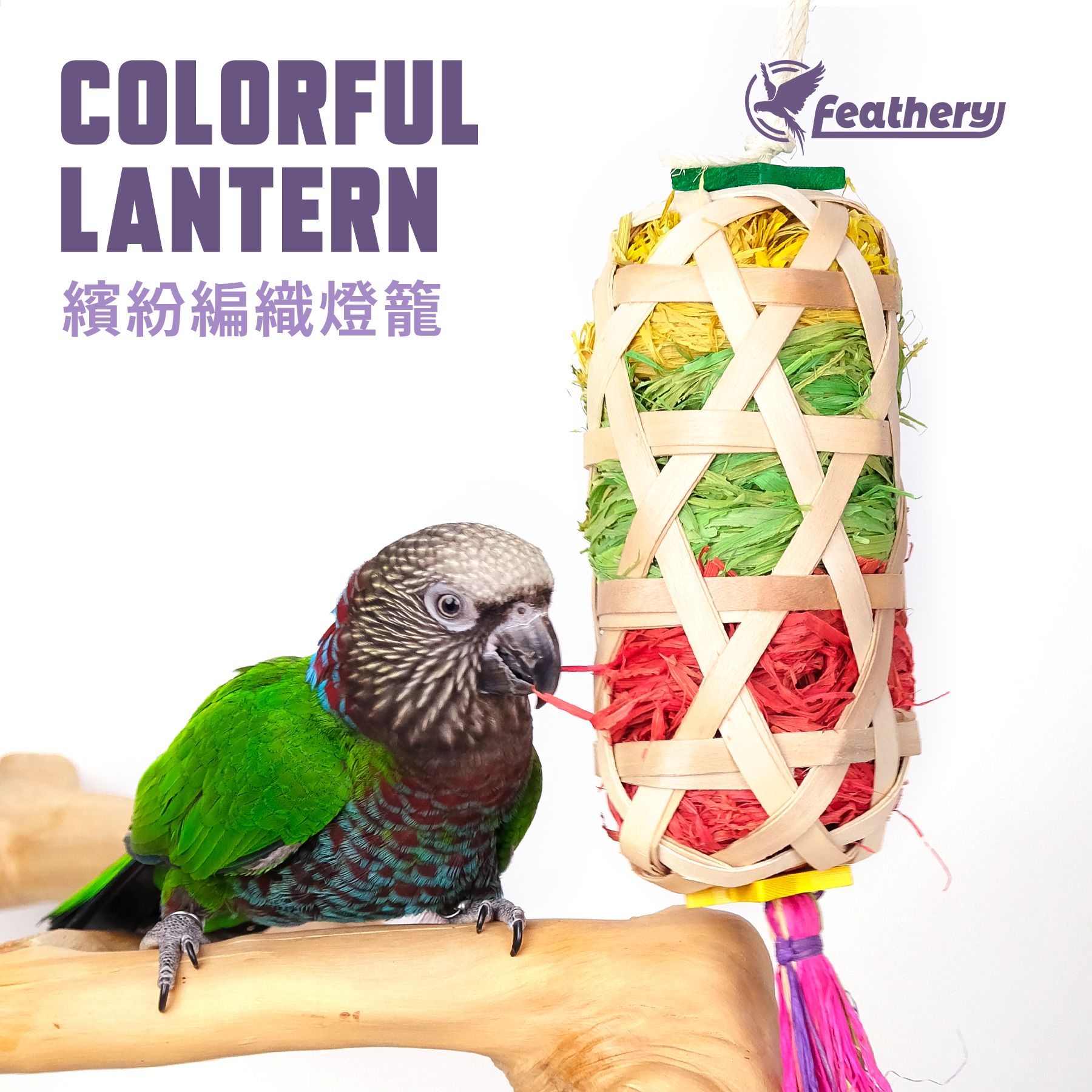 FN-J｜繽紛拉絲燈籠｜繽紛啃咬玩具
