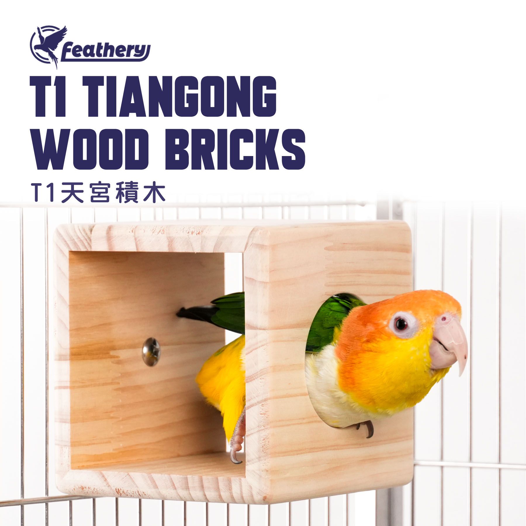 鸚鵡T1方形遊戲台｜天宮積木系列