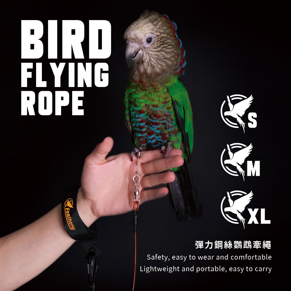 FR尊爵鸚鵡外出繩