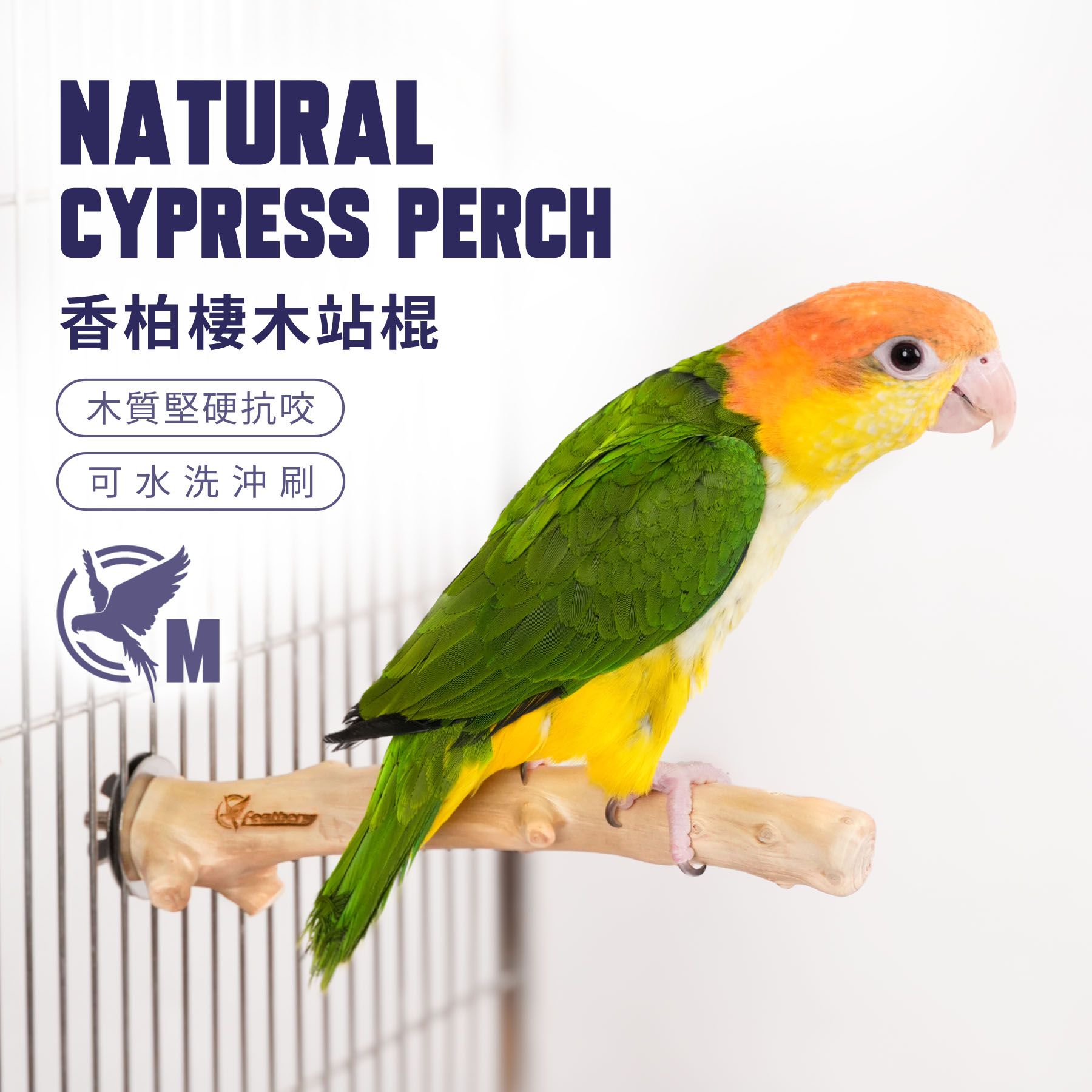 ST002｜香柏棲木站棍M號