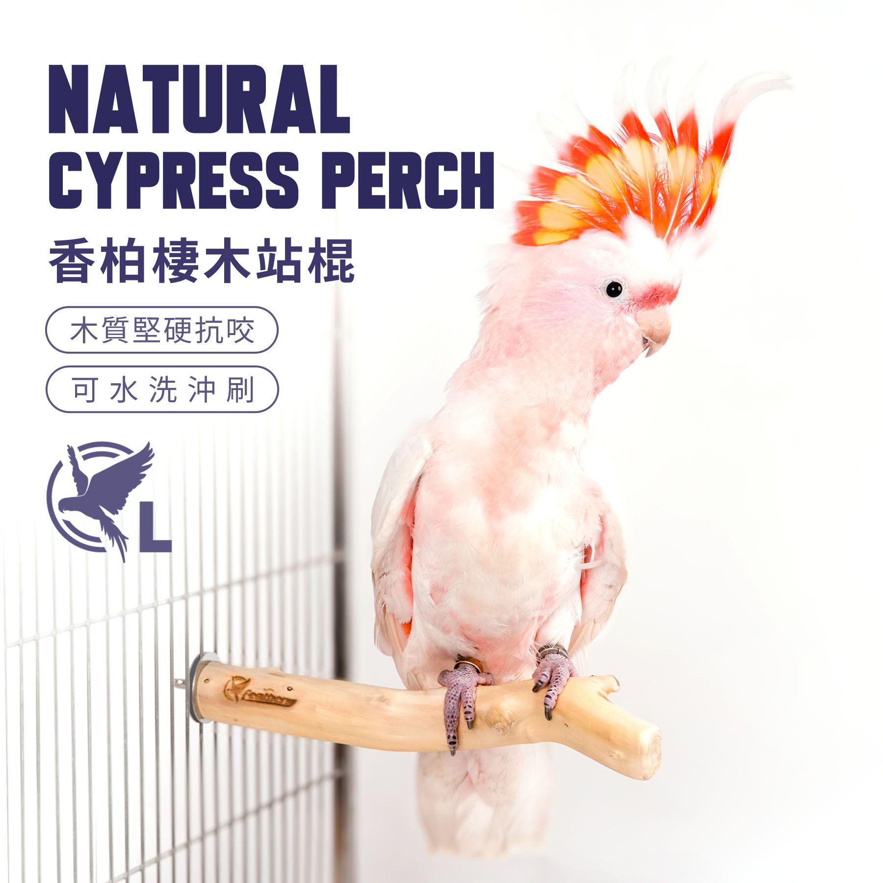 ST003｜香柏棲木站棍L號