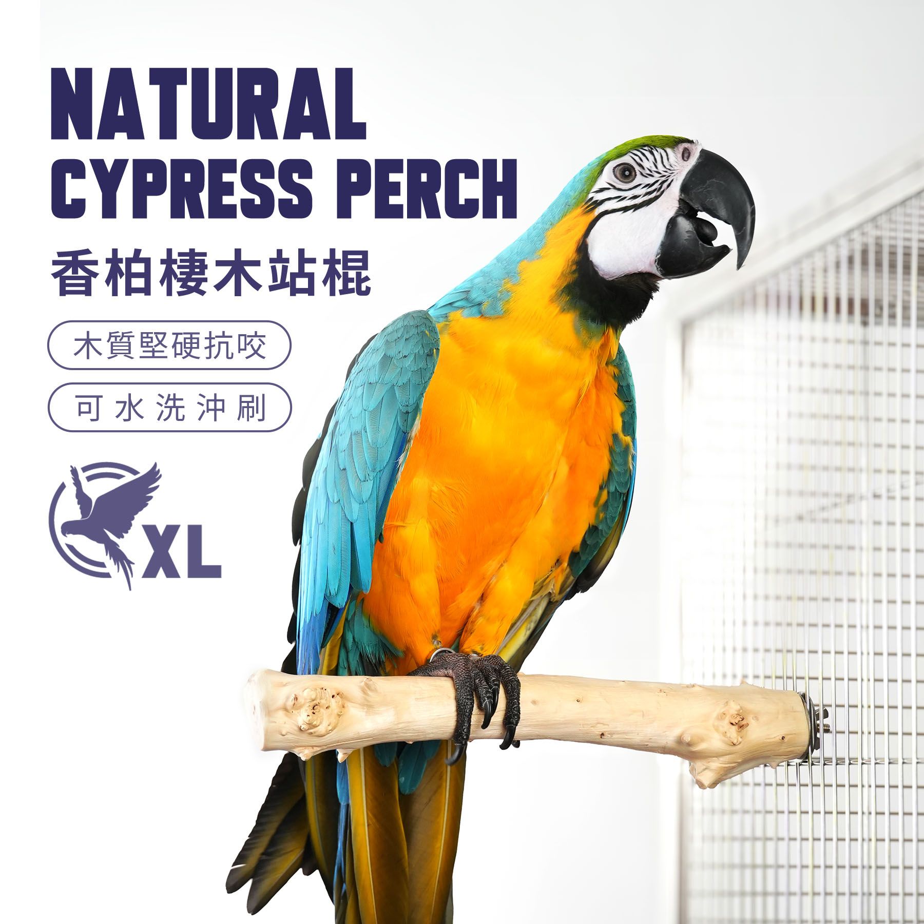 ST004｜香柏棲木站棍XL號