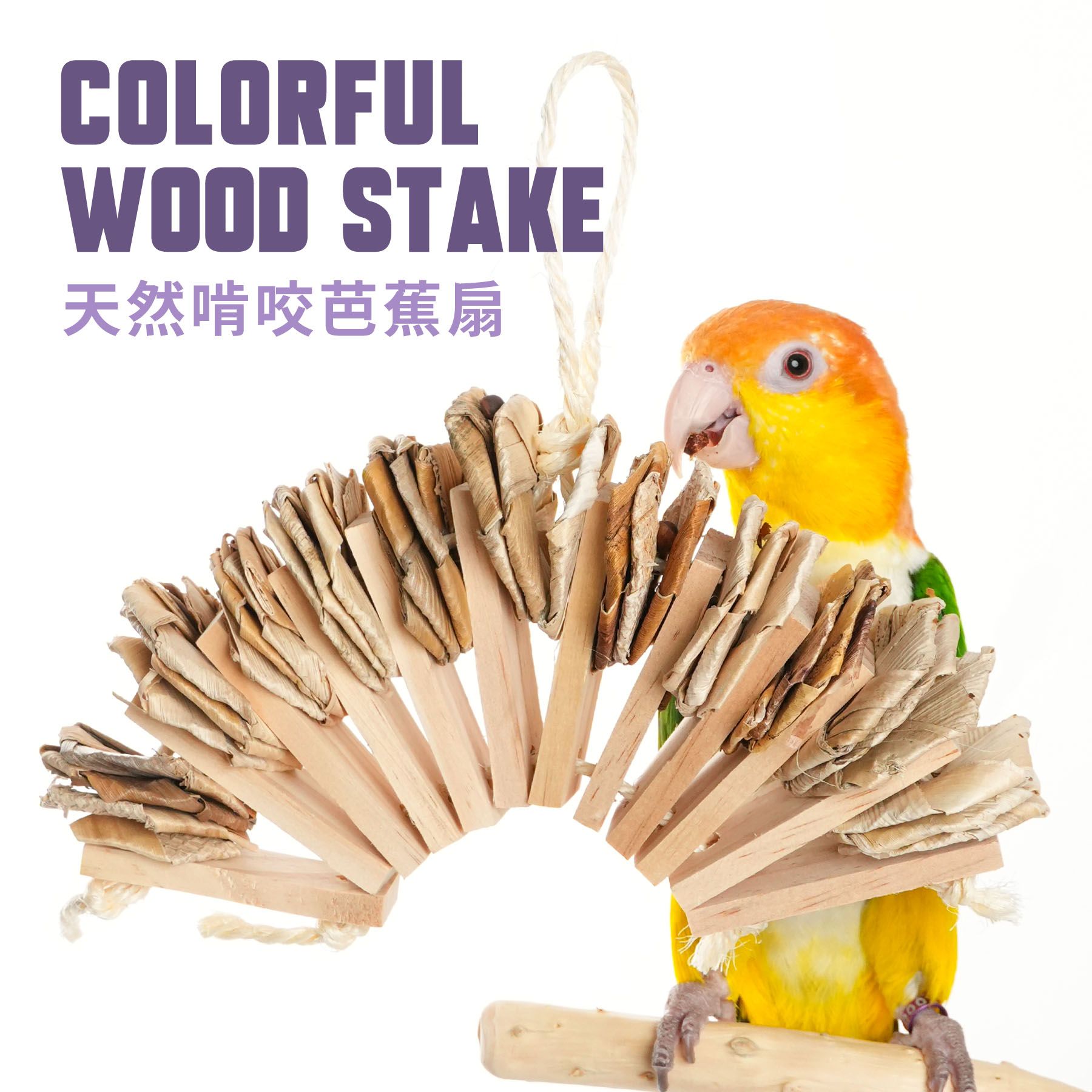 FN-O｜天然啃咬芭蕉扇