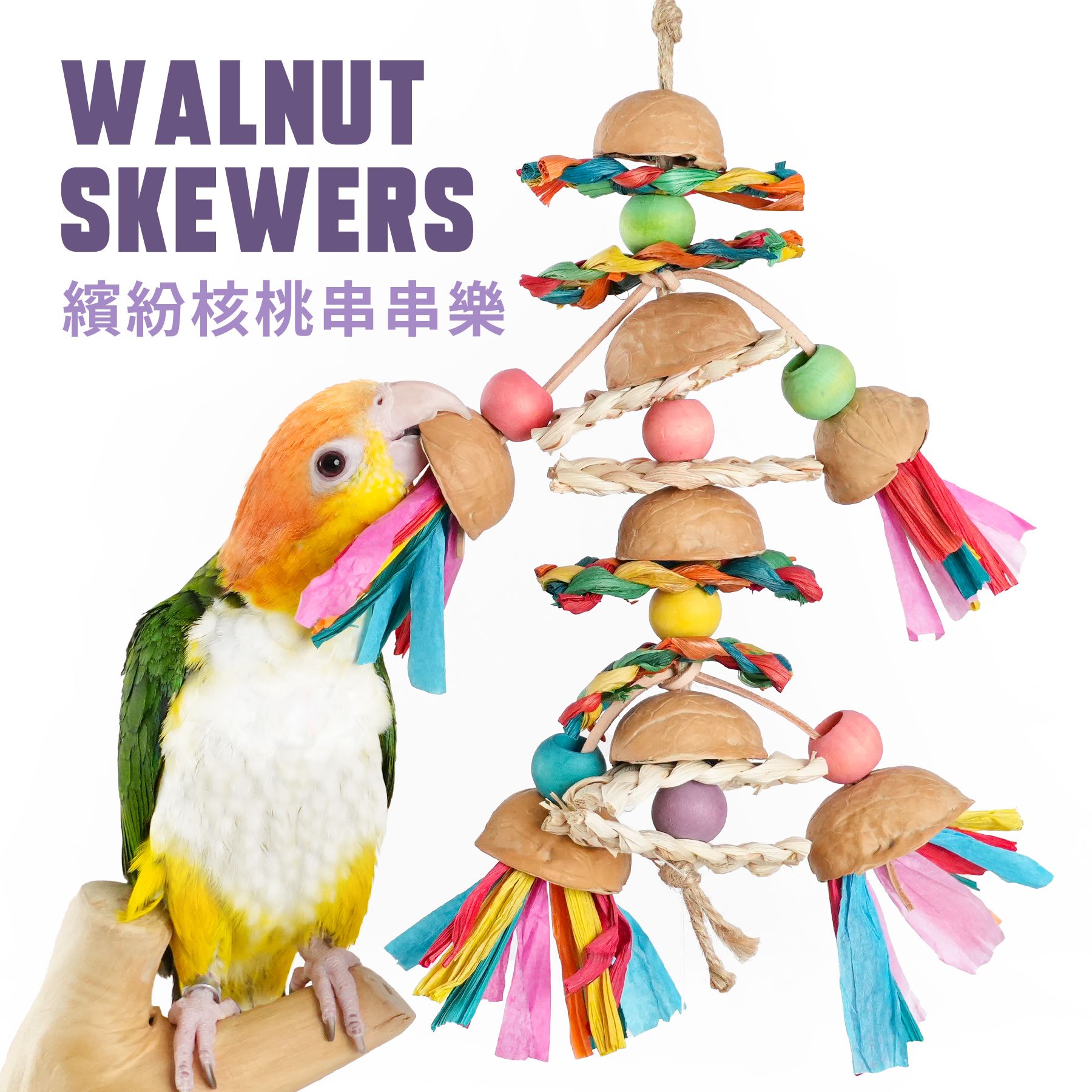 FN-Q｜繽紛核桃串串樂