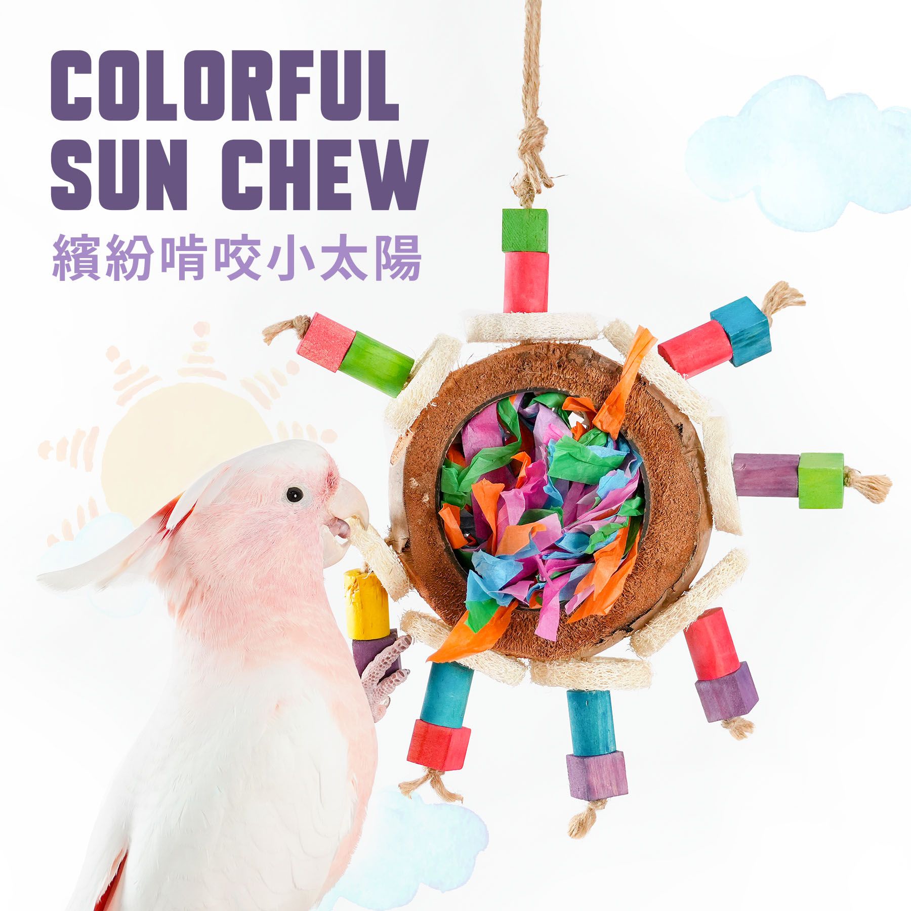 FN-T｜繽紛啃咬大太陽