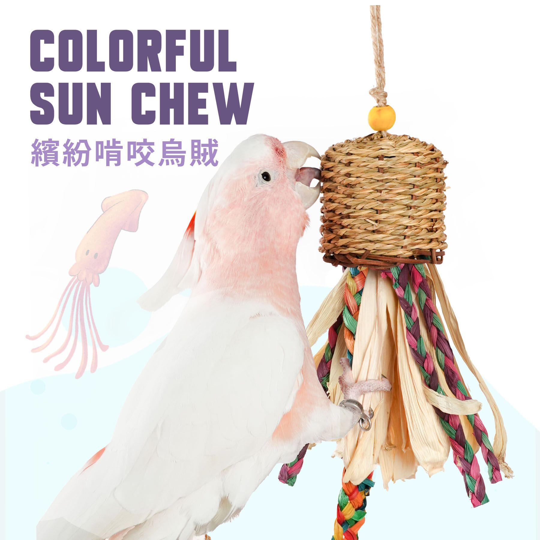 FN-U｜繽紛啃咬烏賊