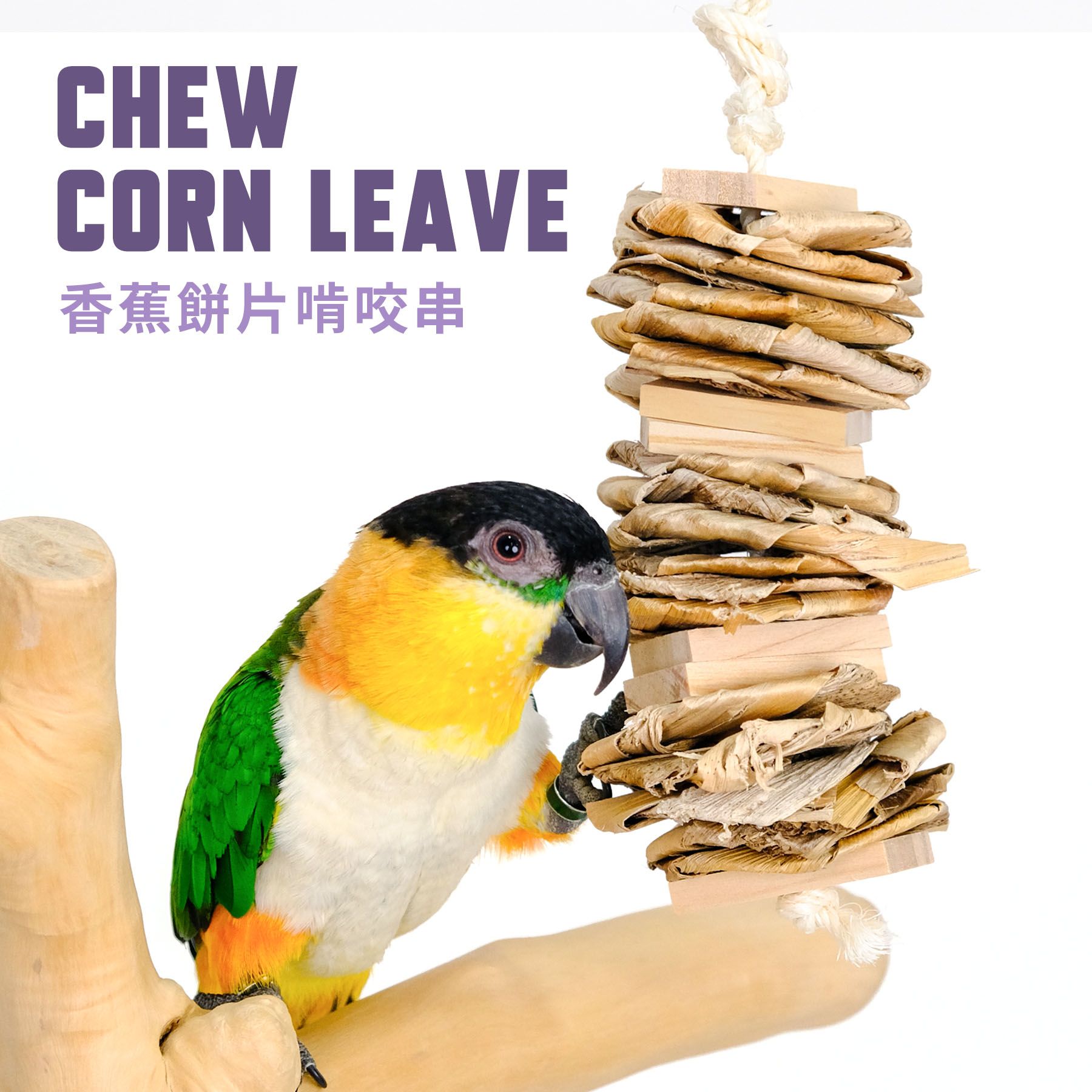 FS-01｜香蕉餅片啃咬串