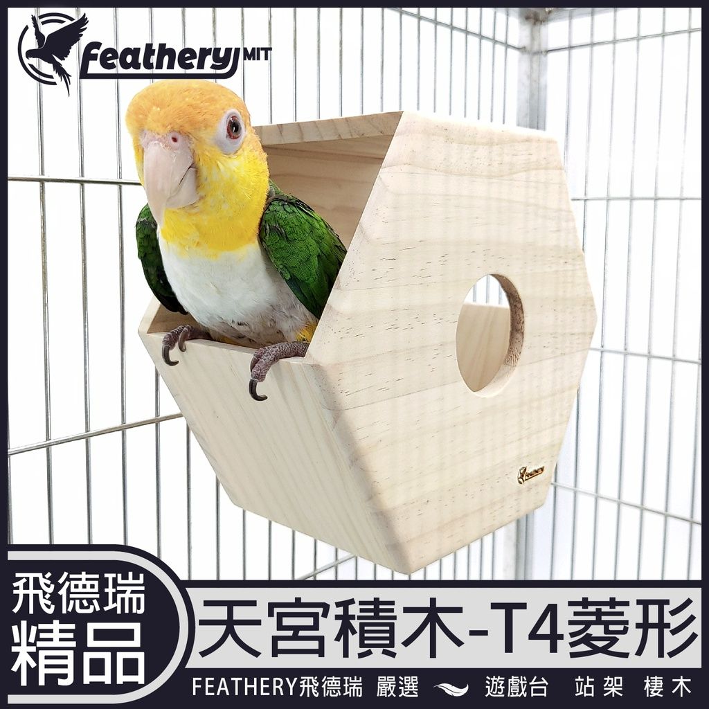 【天宮積木系列】鸚鵡T4六邊形遊戲台