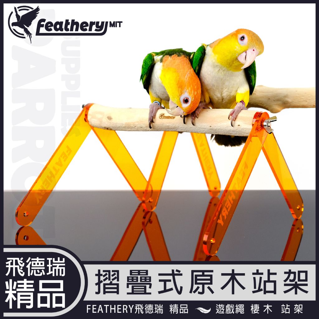 MIT 多角度摺疊原木站架