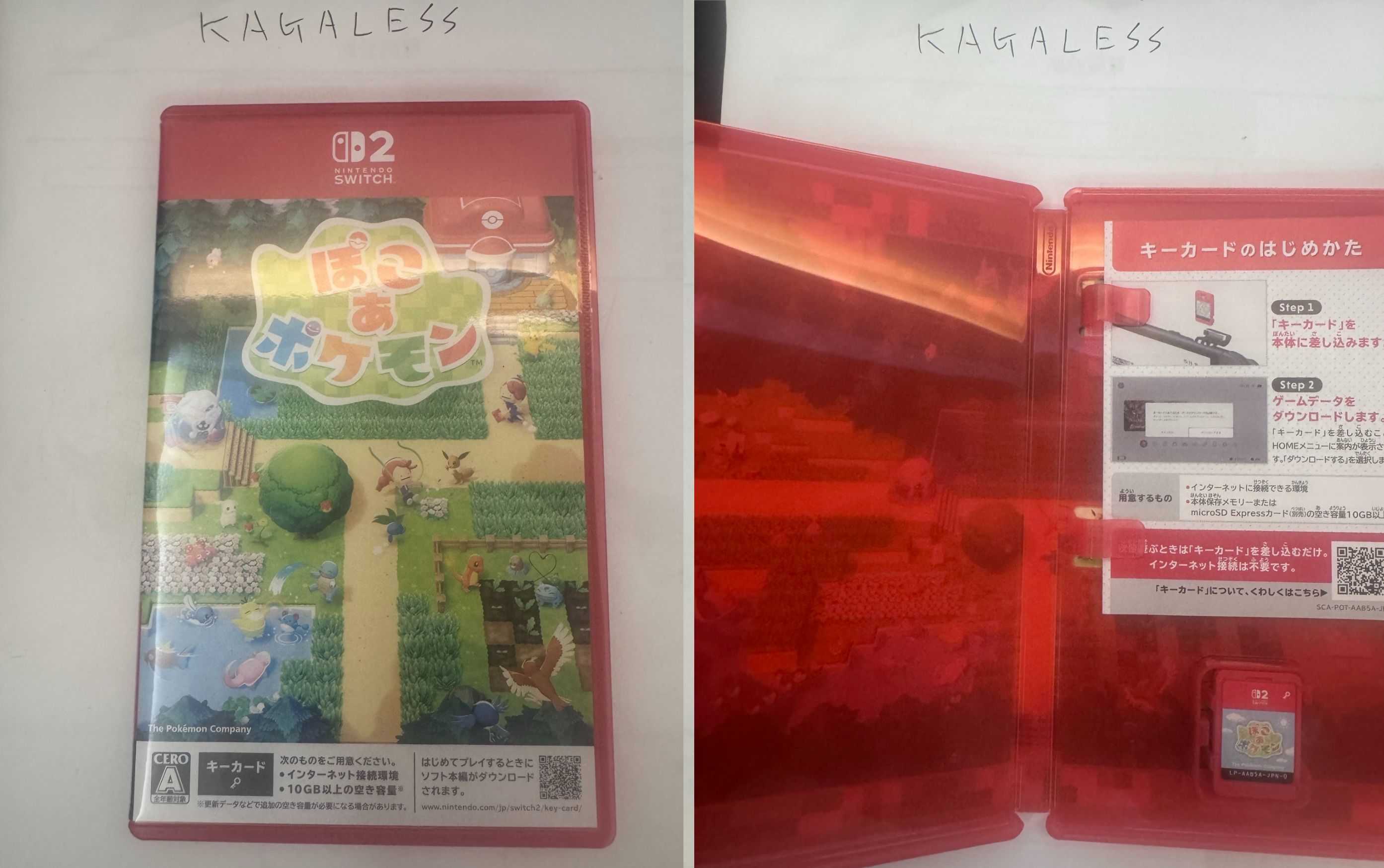 寶可夢 Pokopia  二手日版