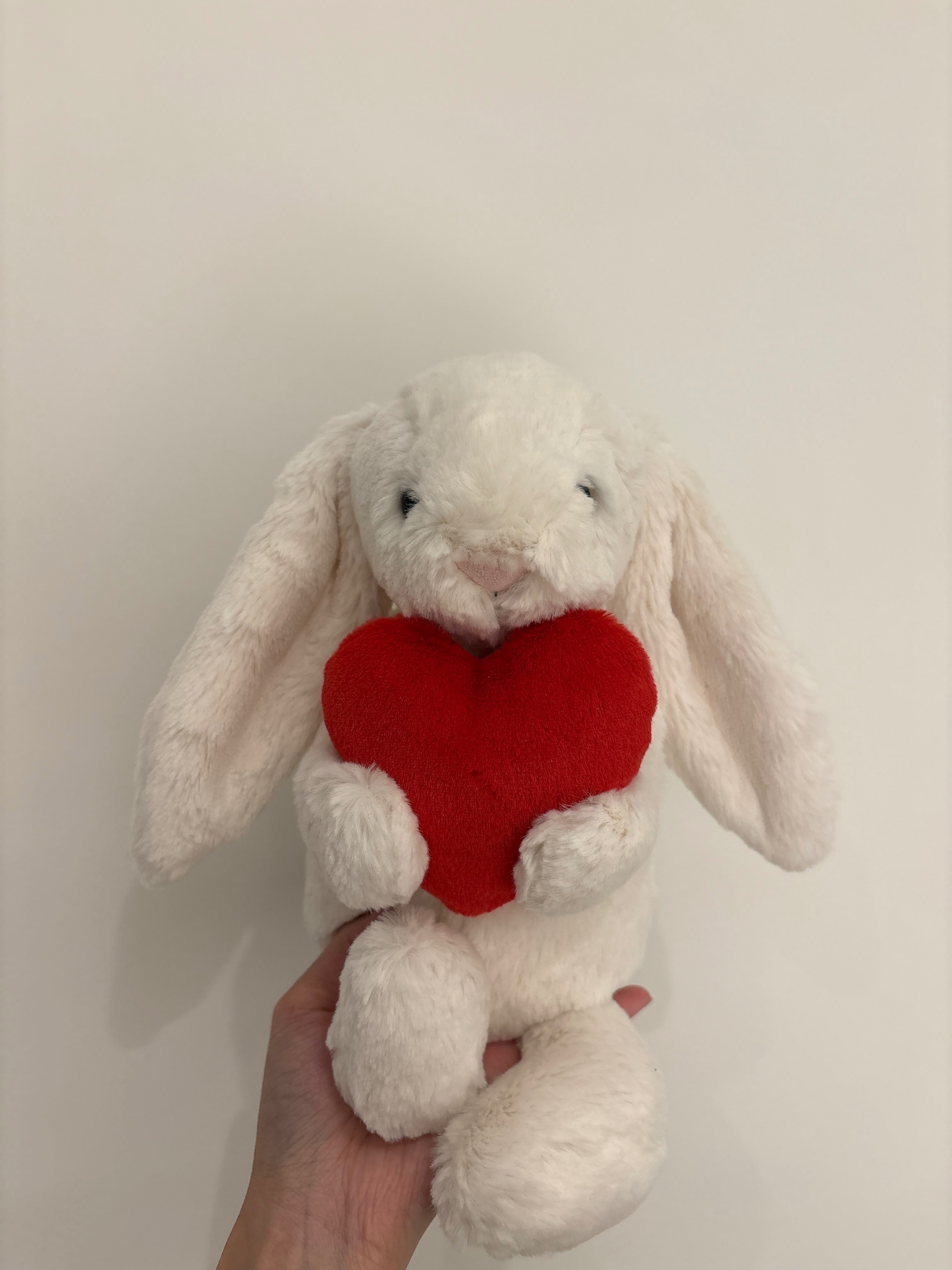 JELLYCAT 在台現貨區