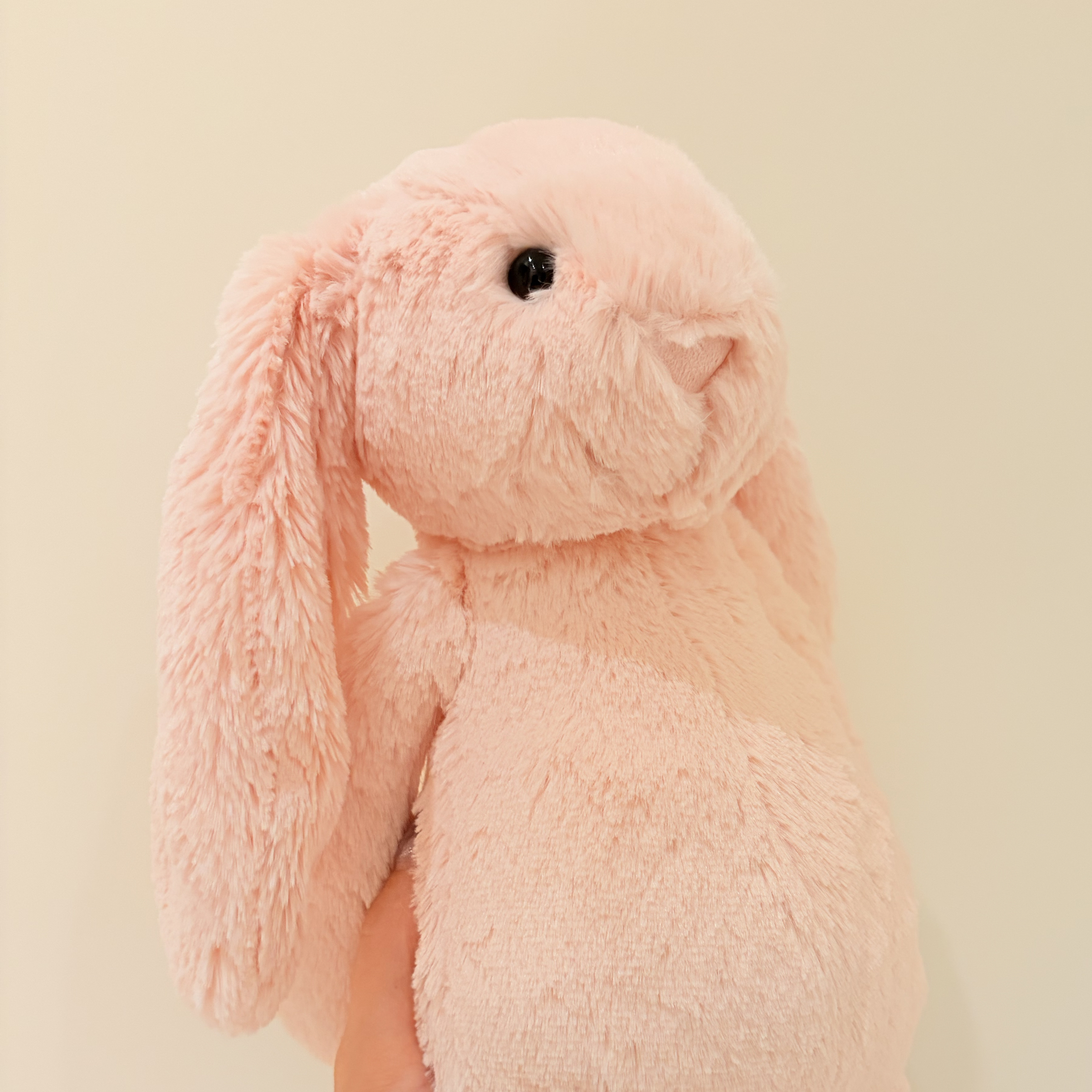 （近全新二手含標籤）Jellycat 粉紅兔 Bashful Pink Bunny Medium