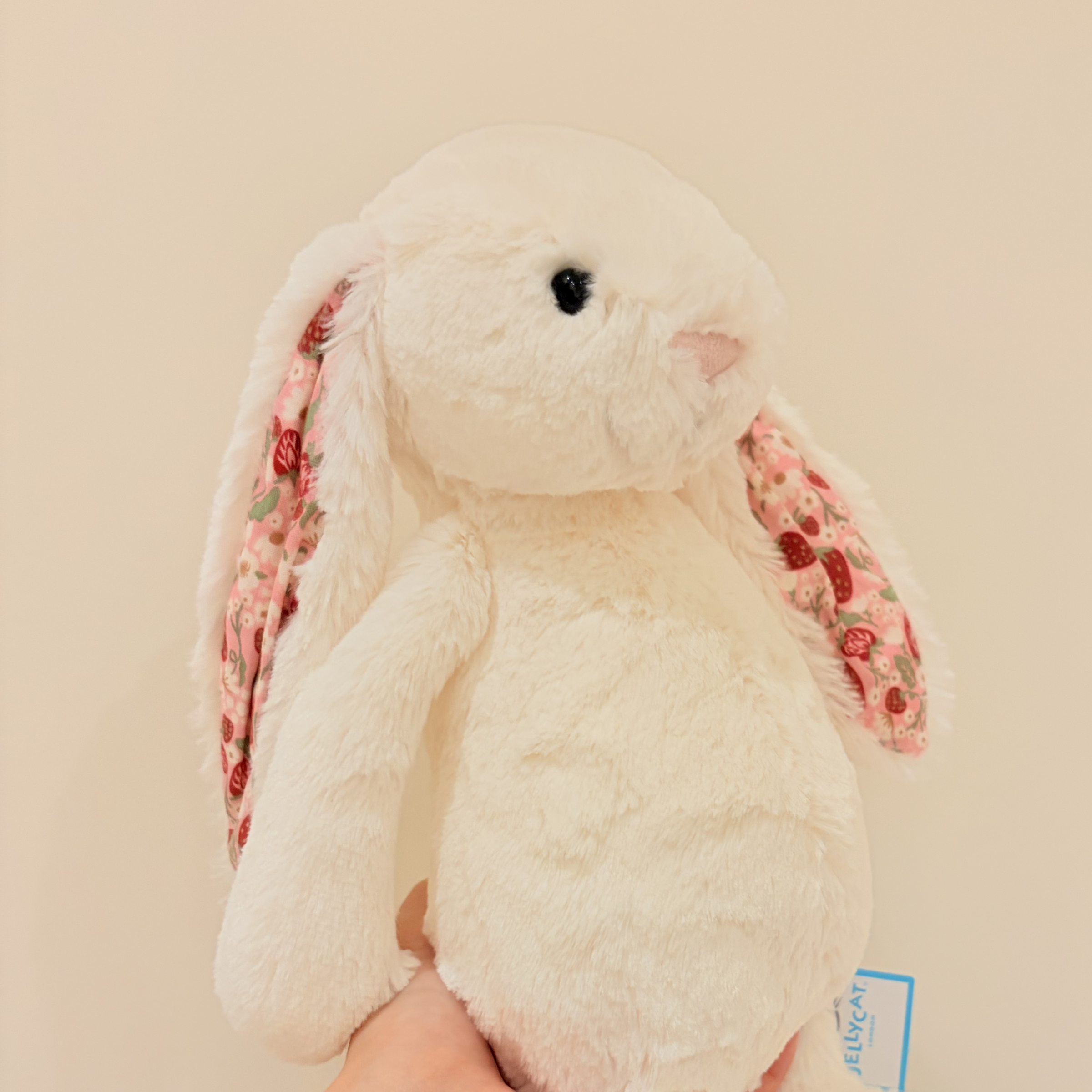 Jellycat 白色碎花耳邦尼兔 中號31公分 Blossom Cream Bunny ＇Berry＇
