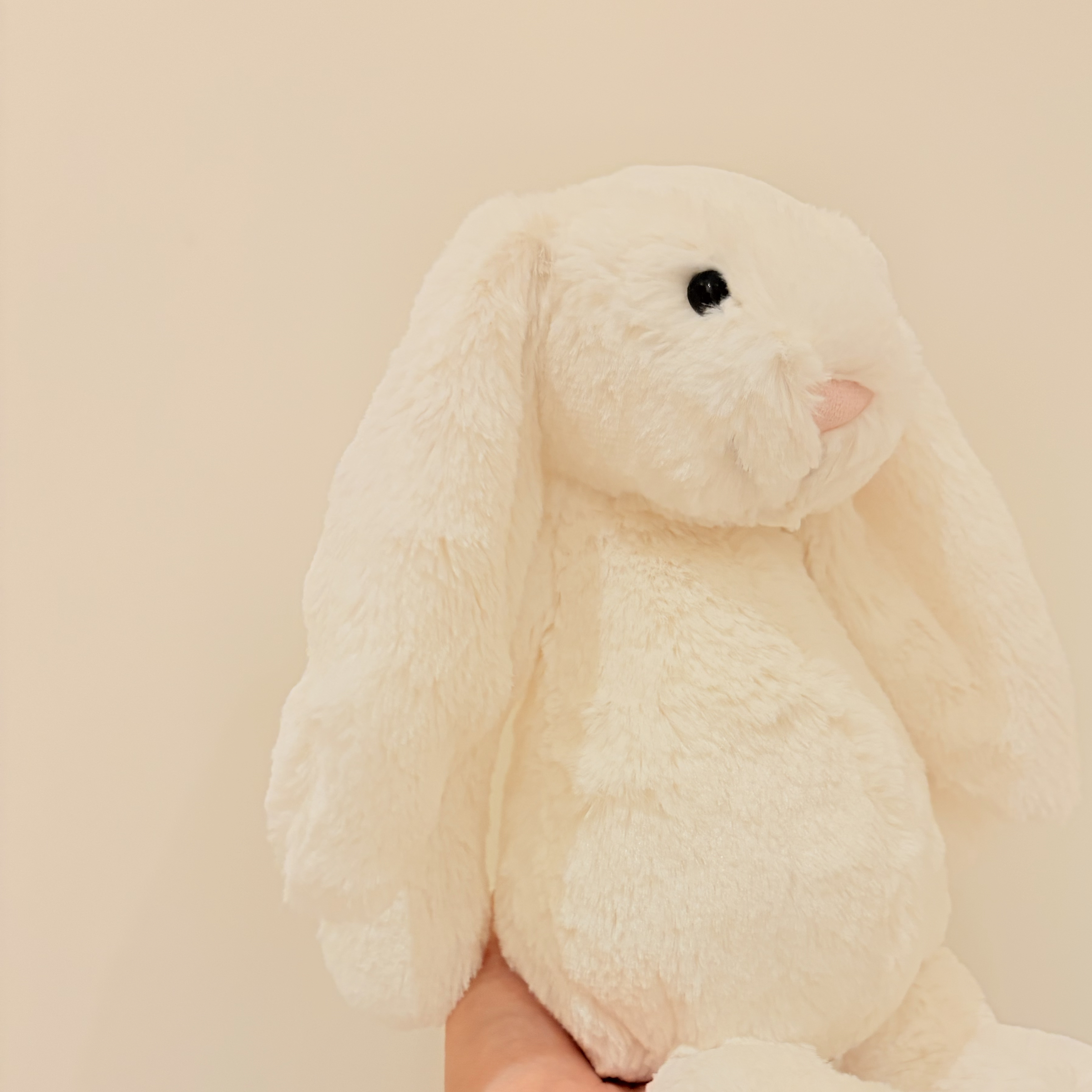Jellycat 奶油白色邦尼兔 中號31公分 Bashful Cream Bunny