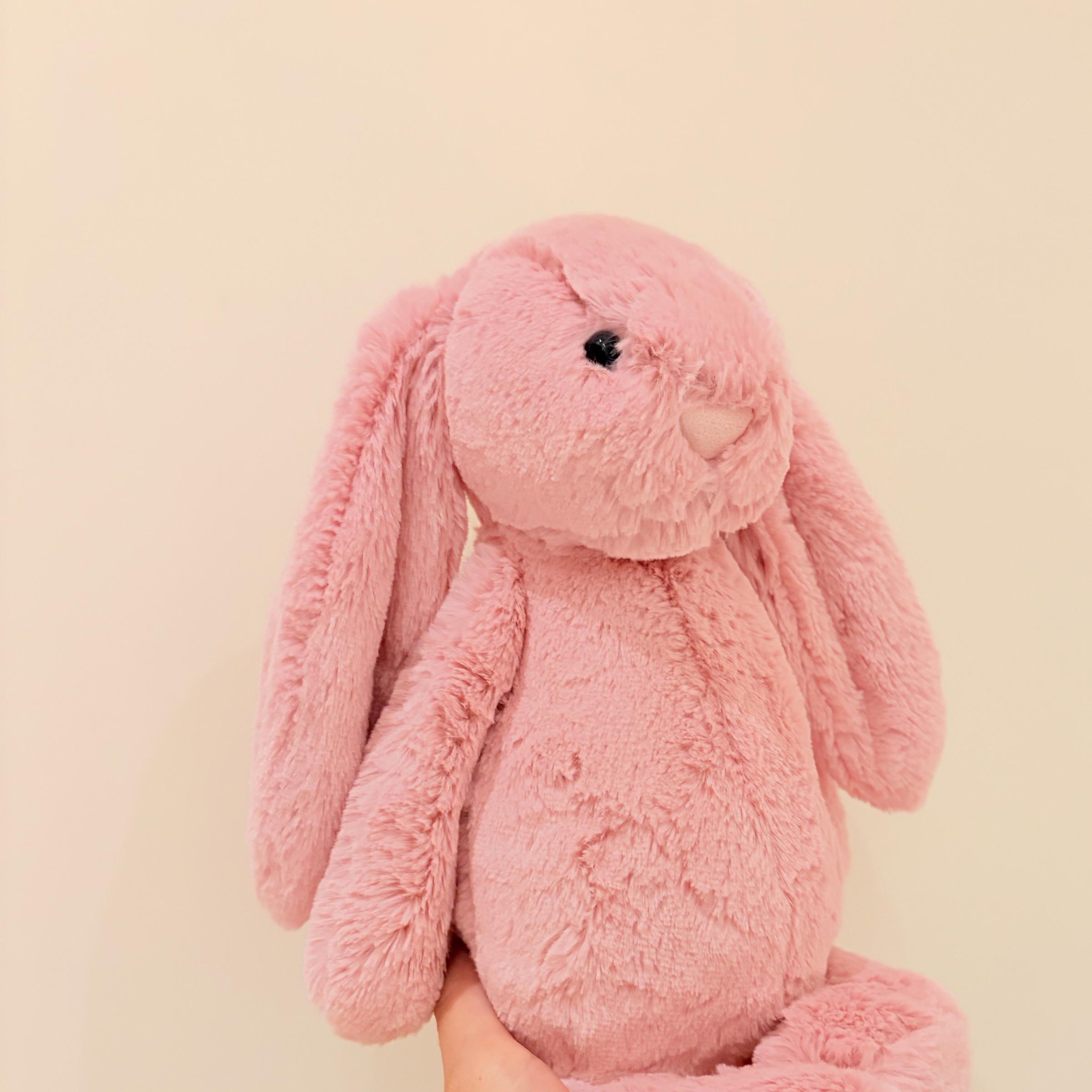 Jellycat 鬱金香粉邦尼兔 中號31公分 Bashful Tulip Pink Bunny