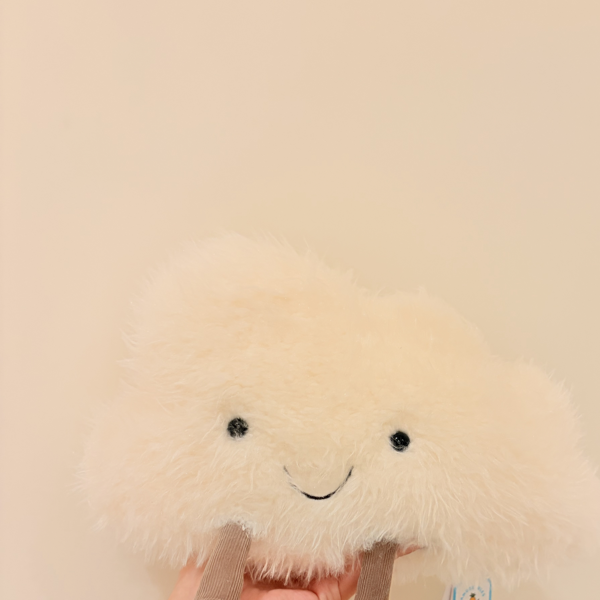 Jellycat 趣味雲朵玩偶 趣味白雲 Amuseables Cloud