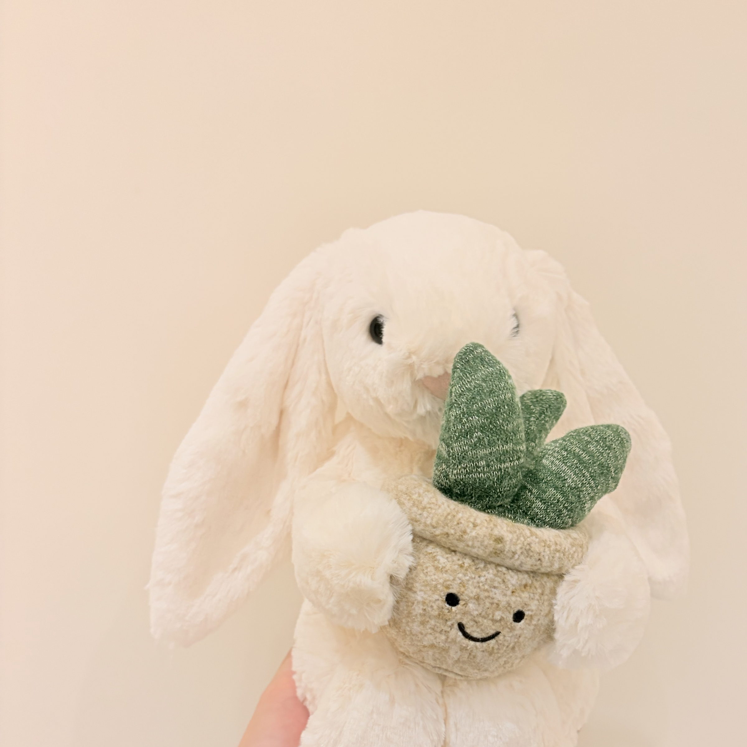 Jellycat 2026新品 抱盆栽兔兔 Cream Bunny with Plant
