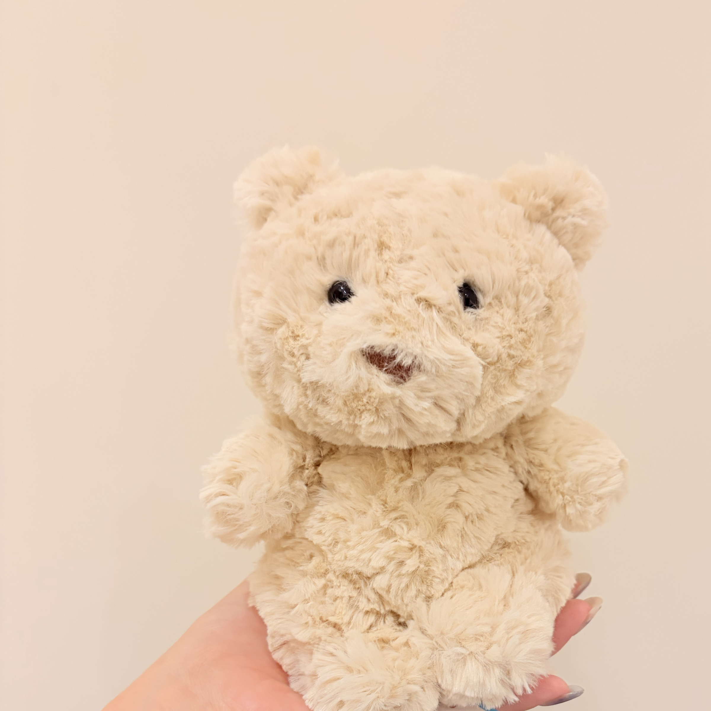Jellycat 2026新品 迷你巴熊/ 小小巴熊 Bartholomew Bear Junior