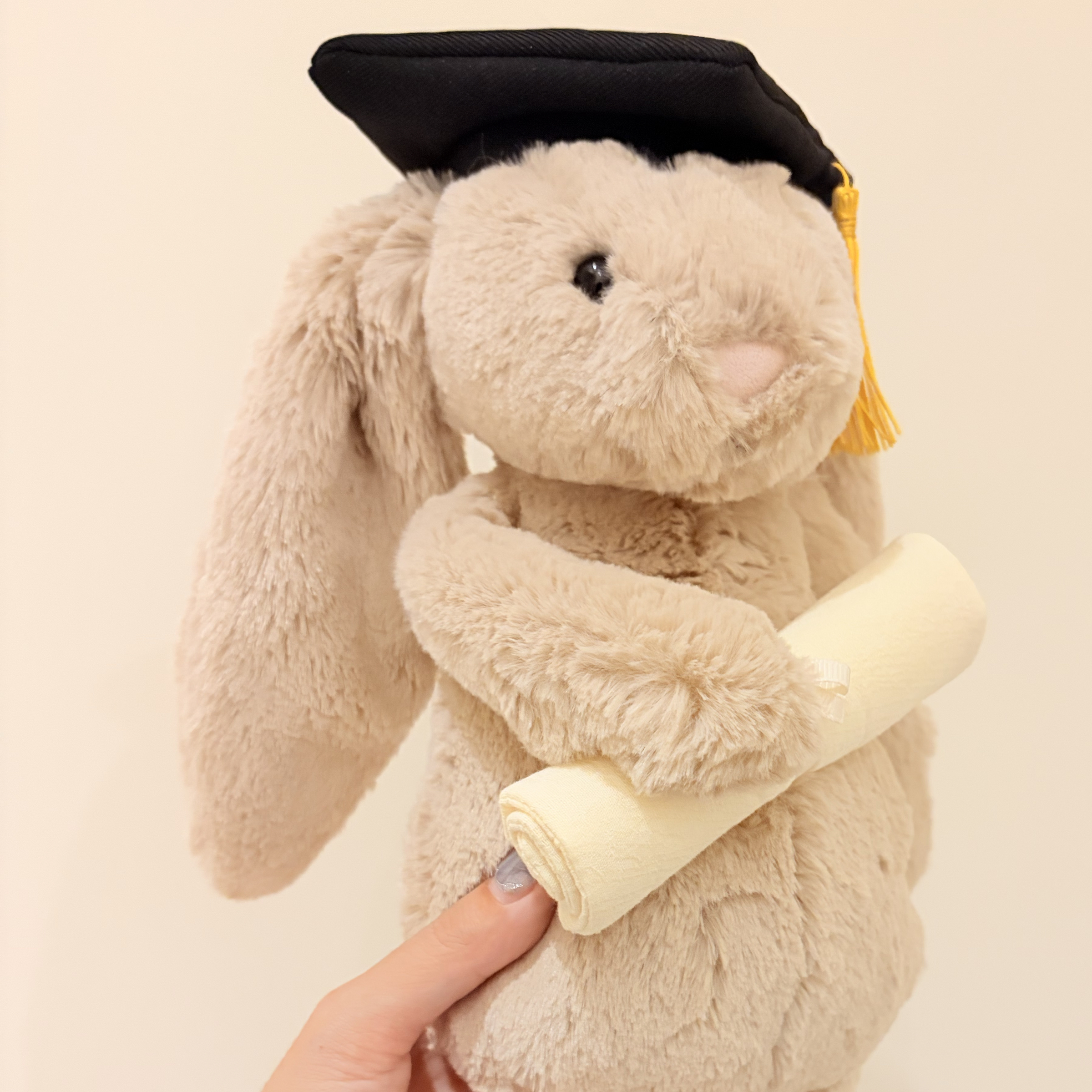 Jellycat 2026新品 害羞畢業證書兔 Bashful Bunny Graduation Outfit