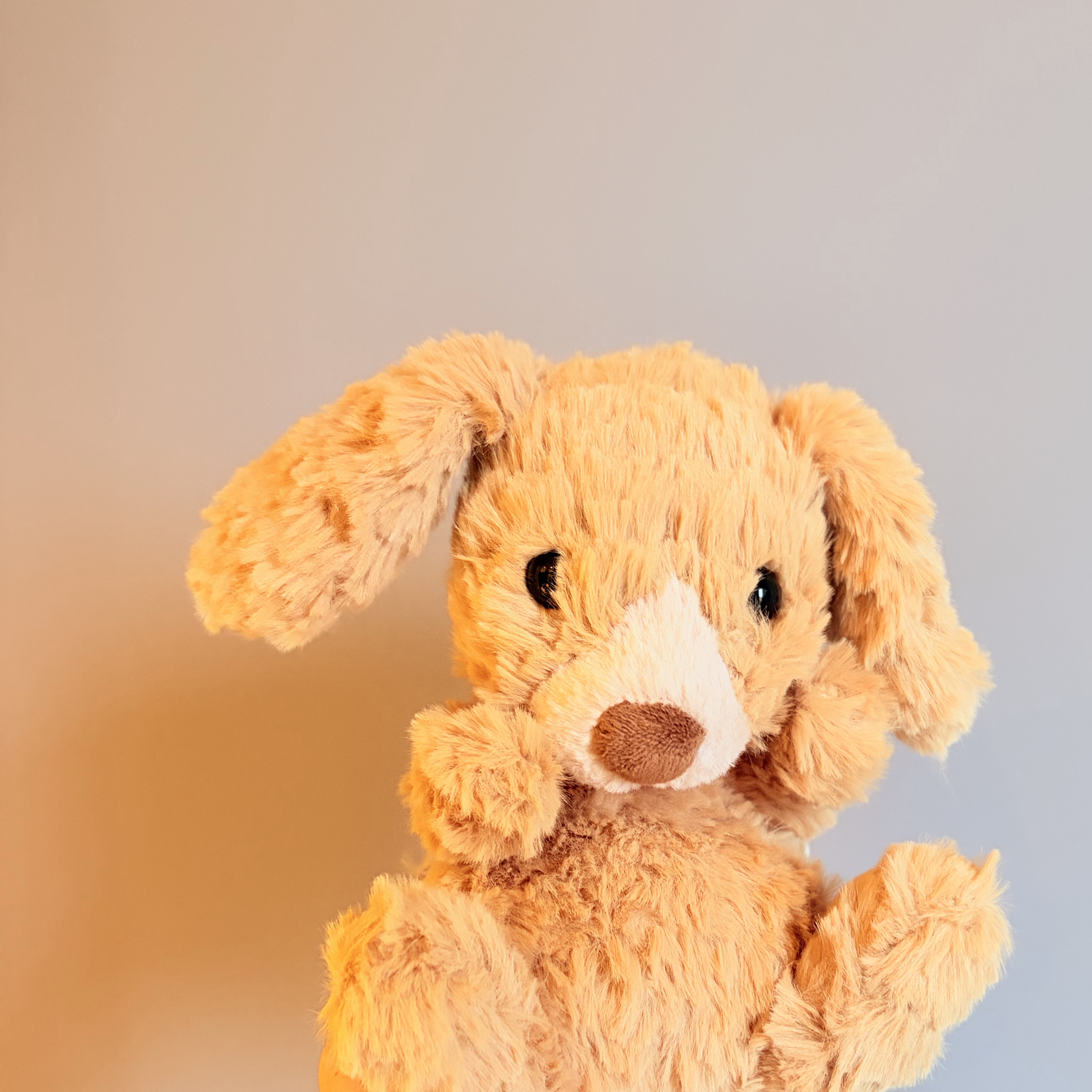（已絕版） Jellycat 美味小狗 Yummy puppy