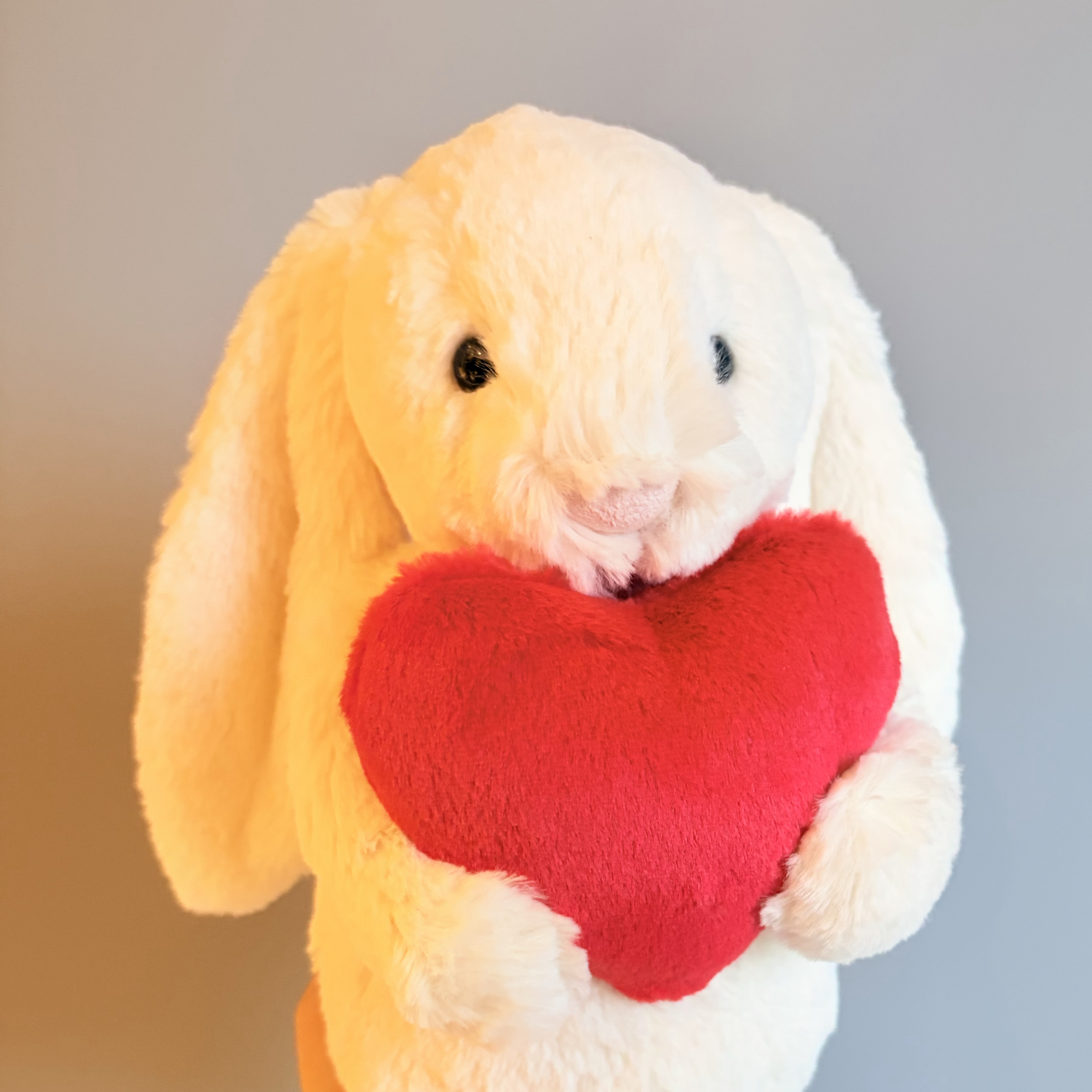 Jellycat 抱愛心兔子 Bashful Red Love Heart Bunny