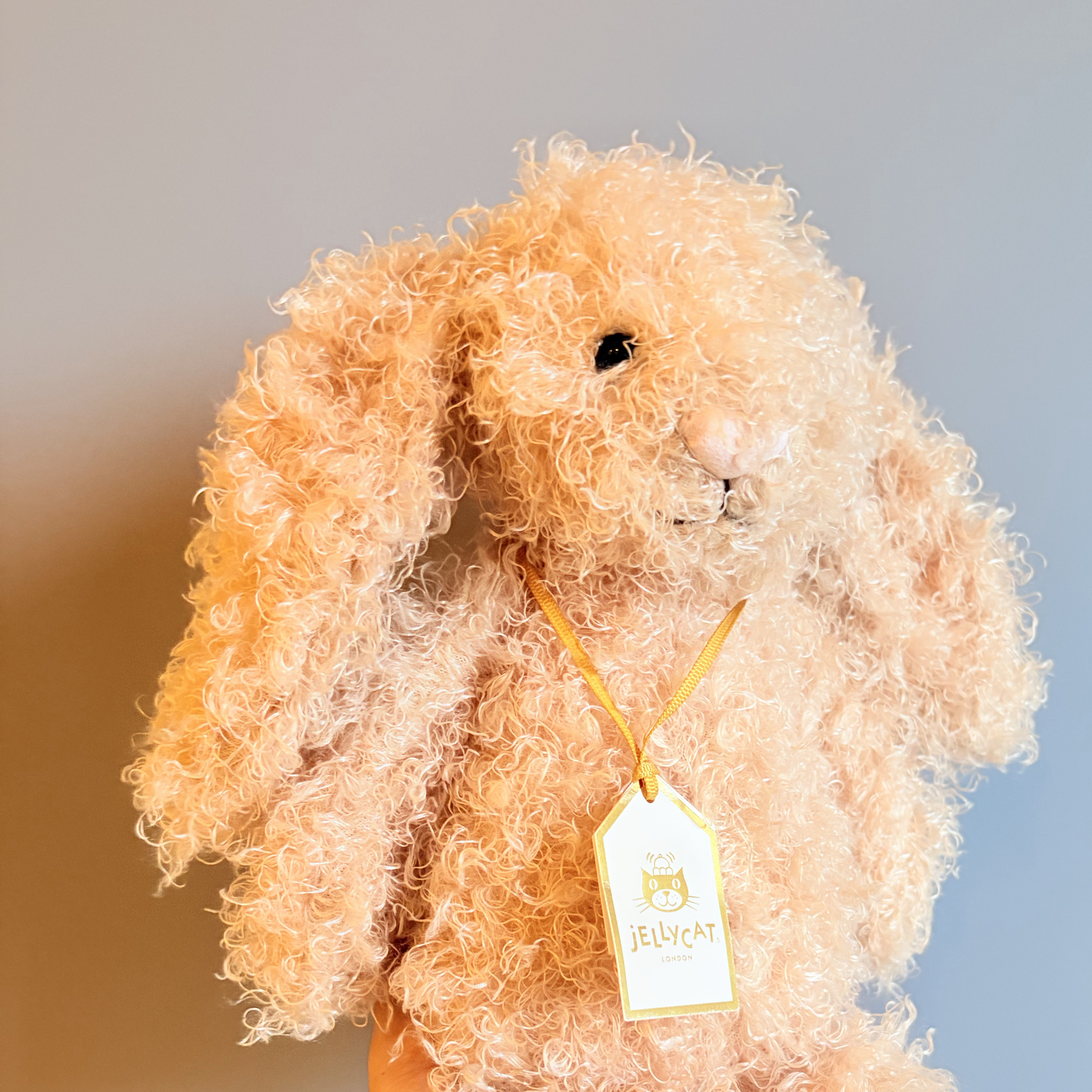 Jellycat 金標奢華捲毛兔 中號31公分 Bashful Luxe Bunny Curly