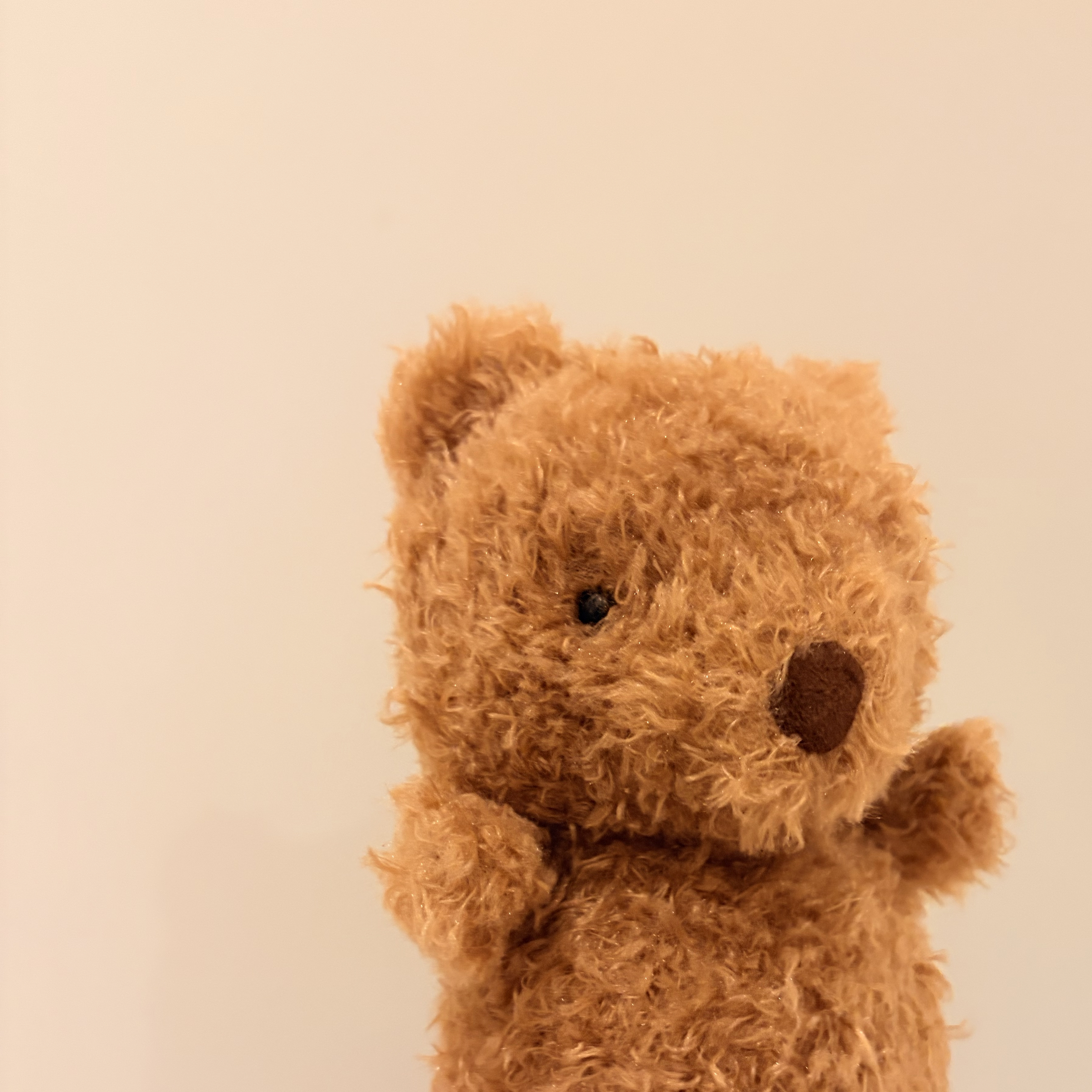 （已絕版） Jellycat Little小熊 Little Bear