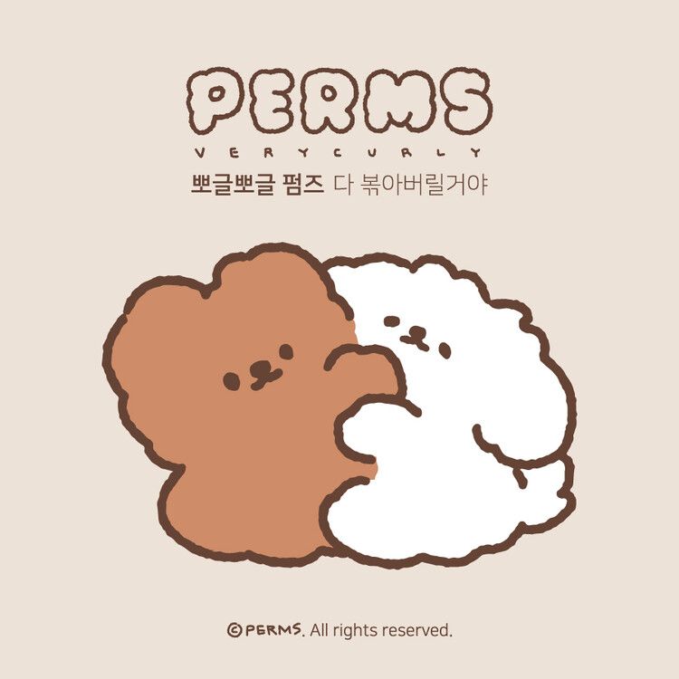 🇰🇷 Perms 7/12𝒏𝒆𝒘