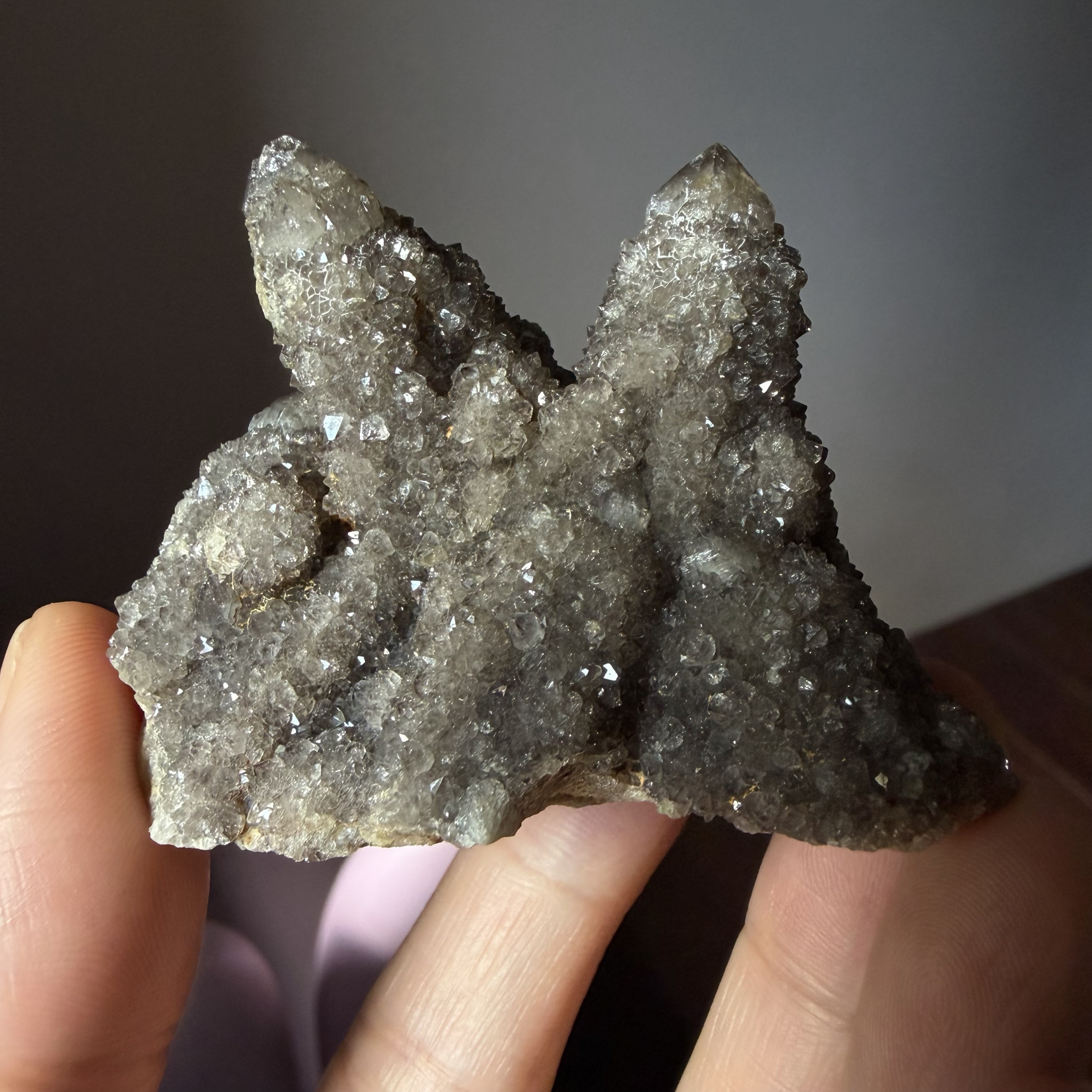 「原礦」 南非🇿🇦 馬加利斯堡山脈 稀有茶黑色仙人掌水晶 兔耳山 87g 最大顆