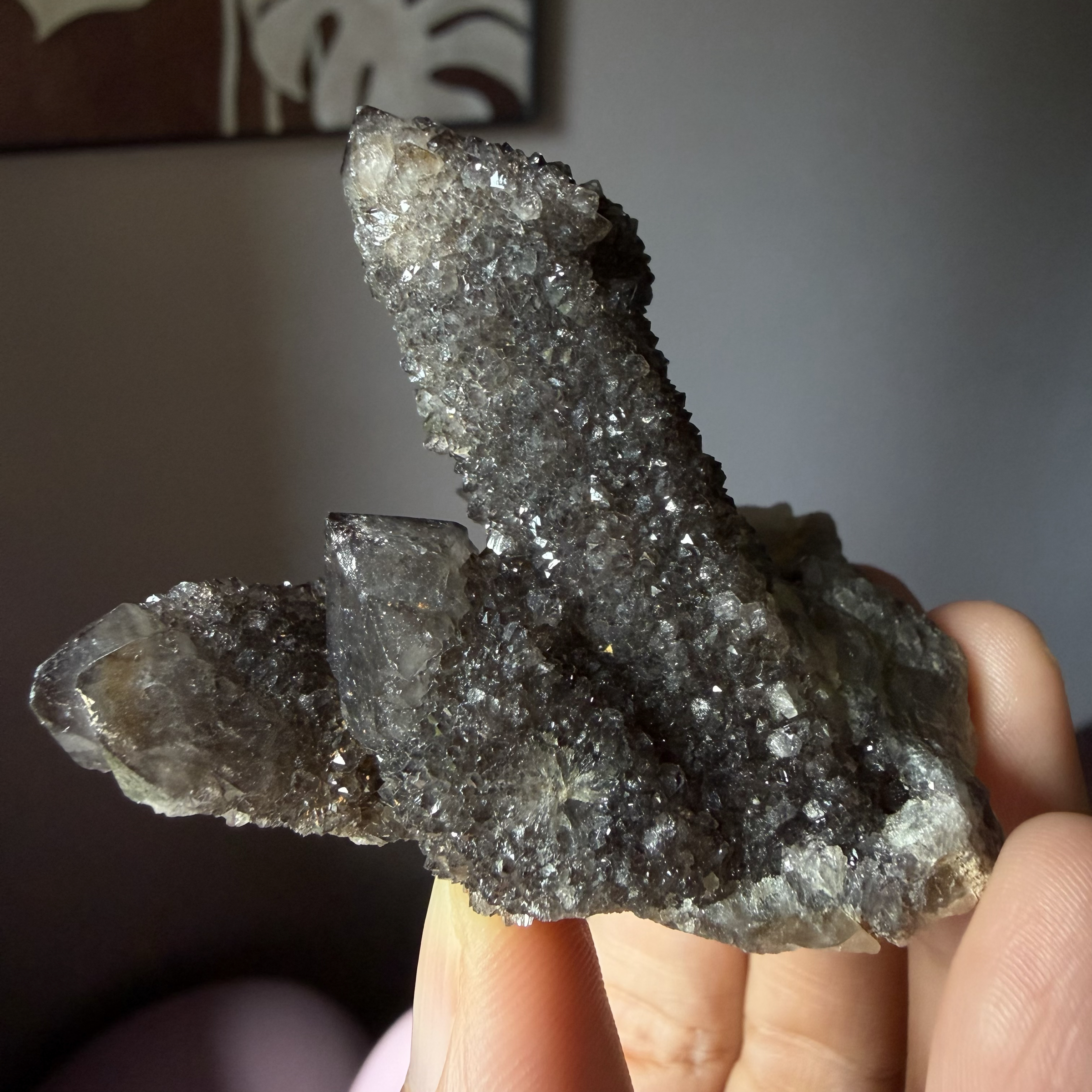 「原礦」 南非🇿🇦 馬加利斯堡山脈 稀有茶黑色仙人掌水晶 四劍客 76g