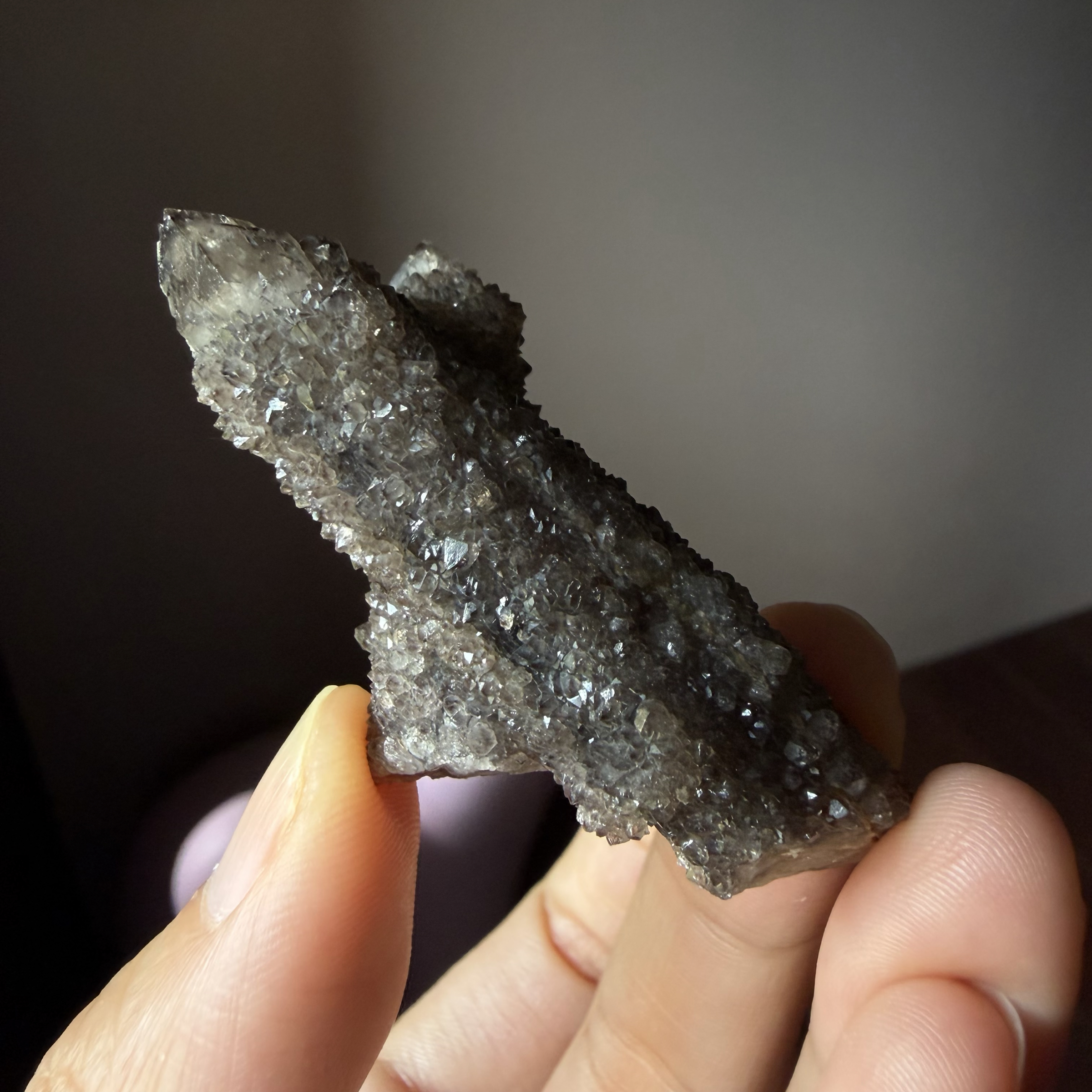 「原礦」 南非🇿🇦 馬加利斯堡山脈 稀有茶黑色仙人掌水晶 抱抱晶 26g