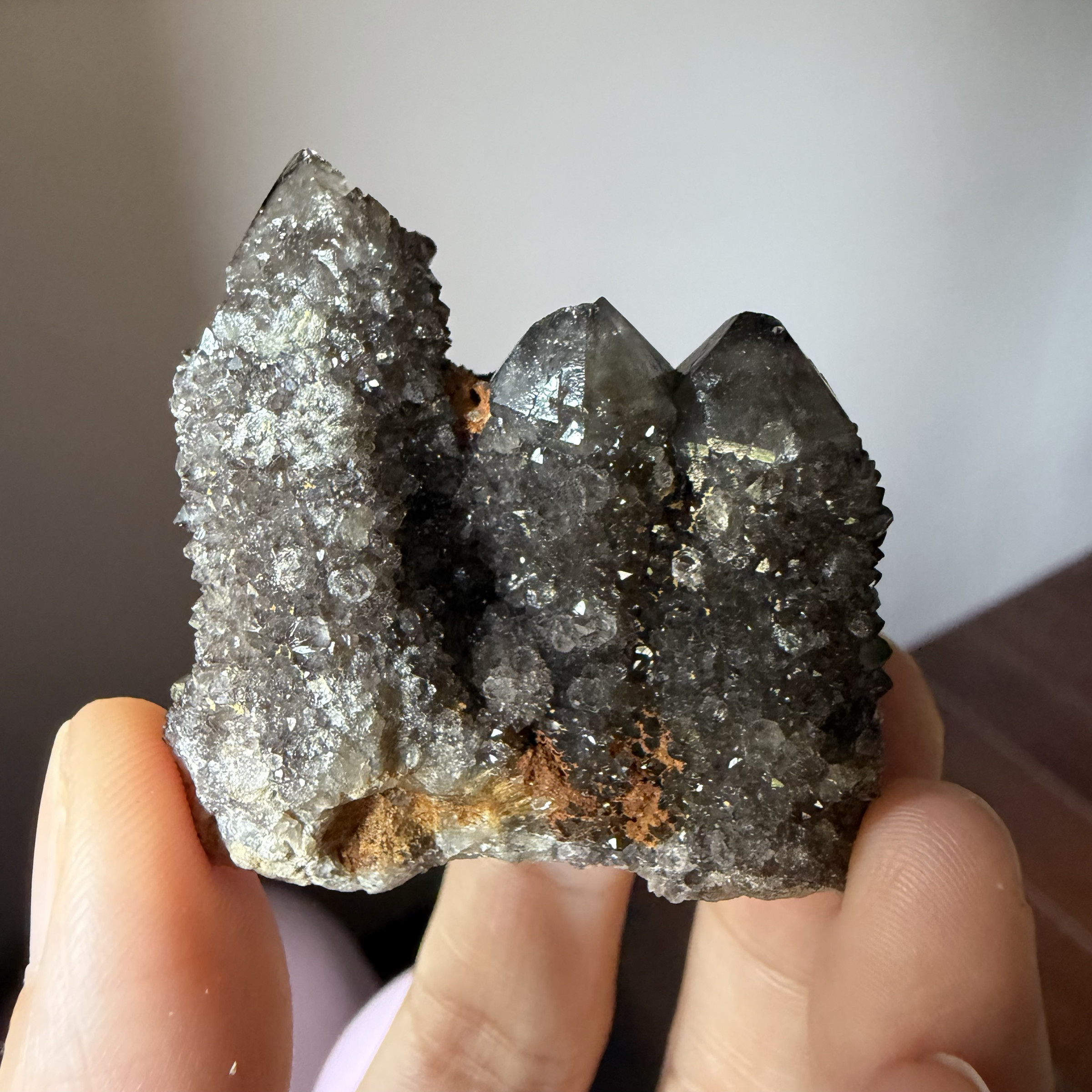 「原礦」 南非🇿🇦 馬加利斯堡山脈 稀有茶黑色仙人掌水晶 三兄弟50g 