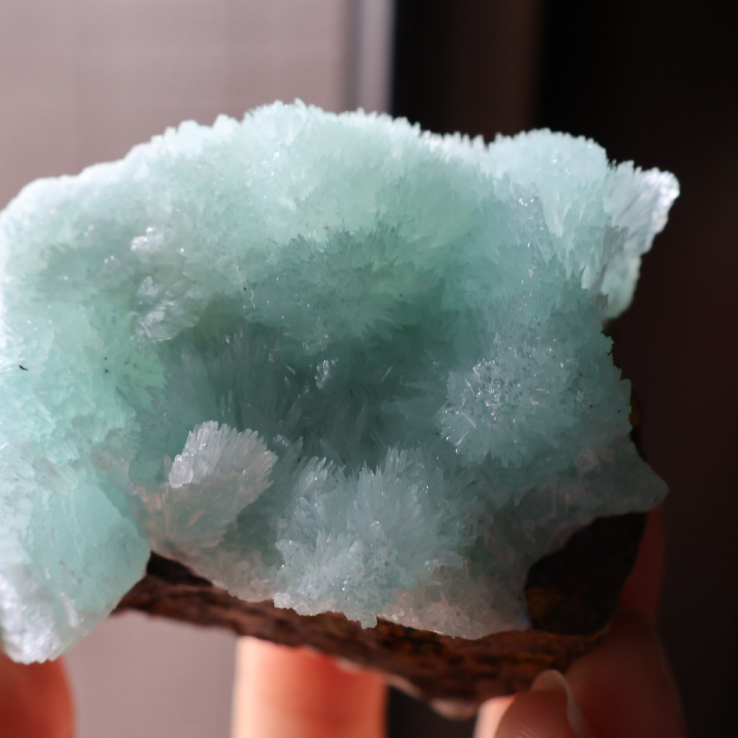 「原礦」雲南藍針霰石 ｜ 絲絹光澤放射晶簇
Blue Needle Aragonite Cluster 
