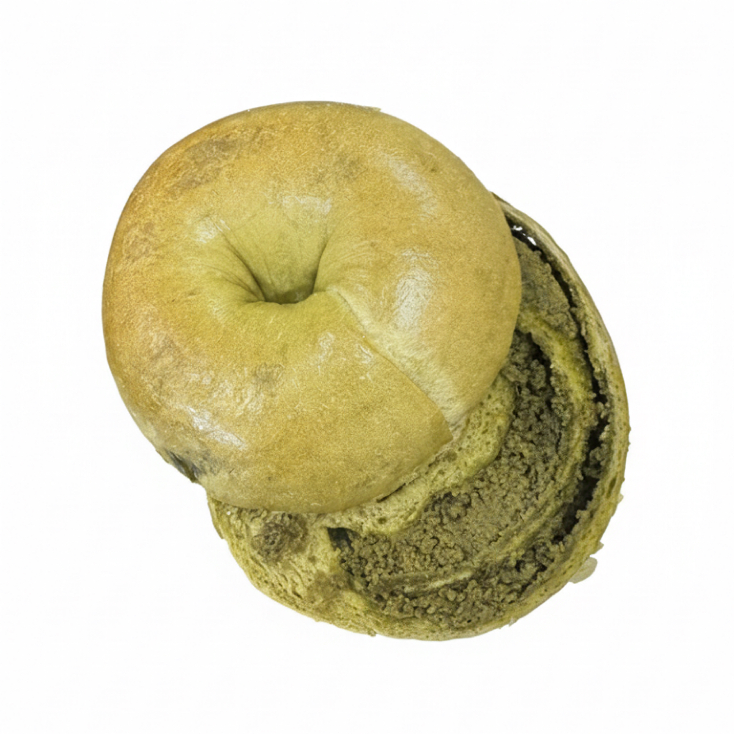 抹茶奶酥