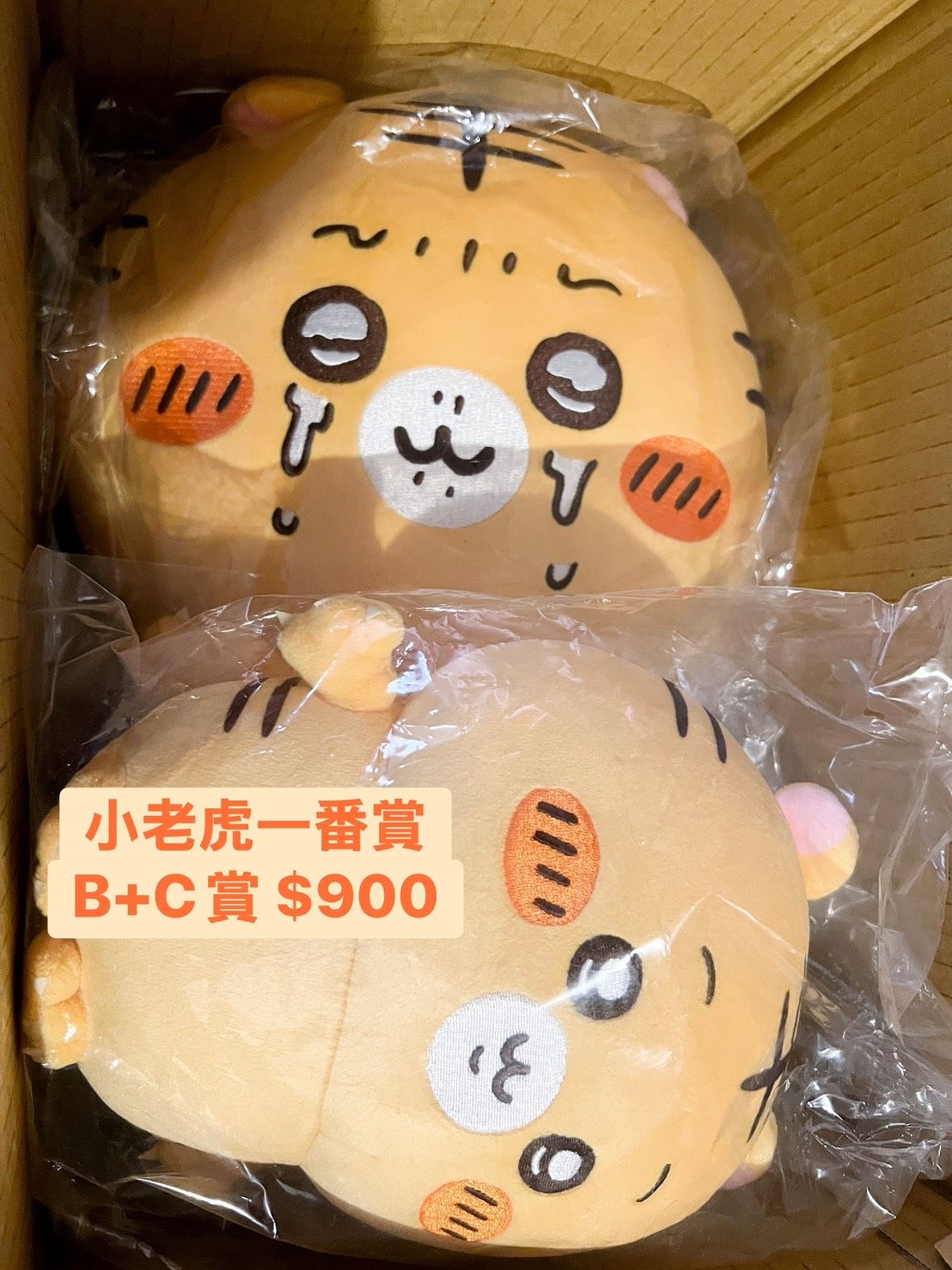 小老虎B+C賞