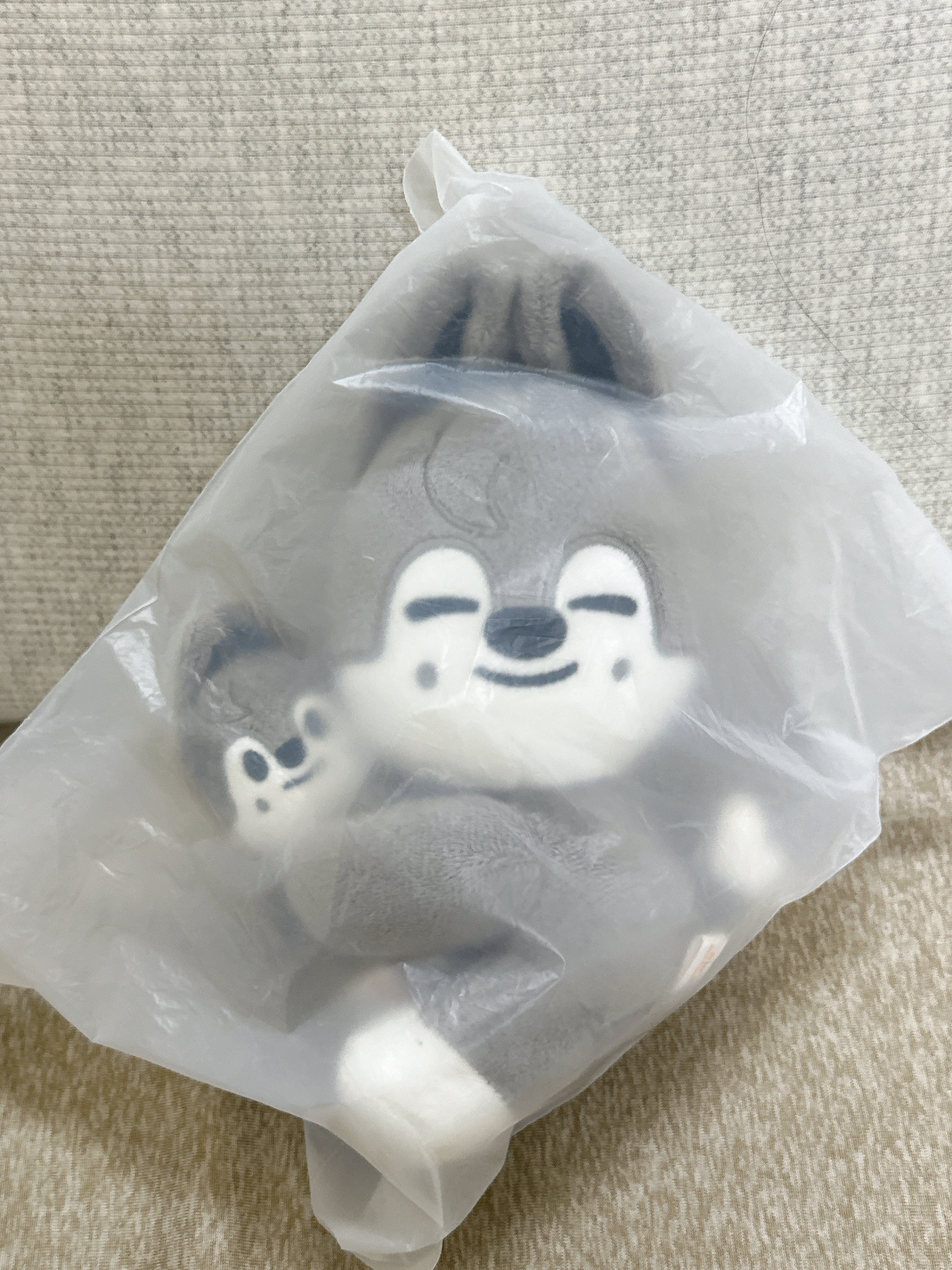 在台現貨全新抱抱娃：燦狼（贈隨機滿額卡）